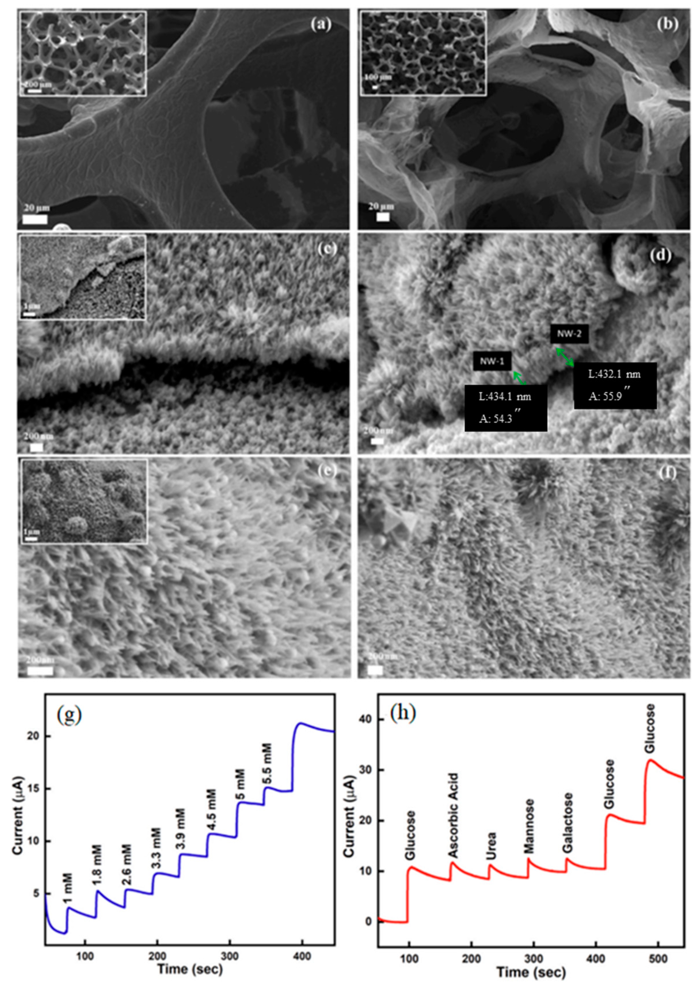 Nanomaterials 14 01085 g008