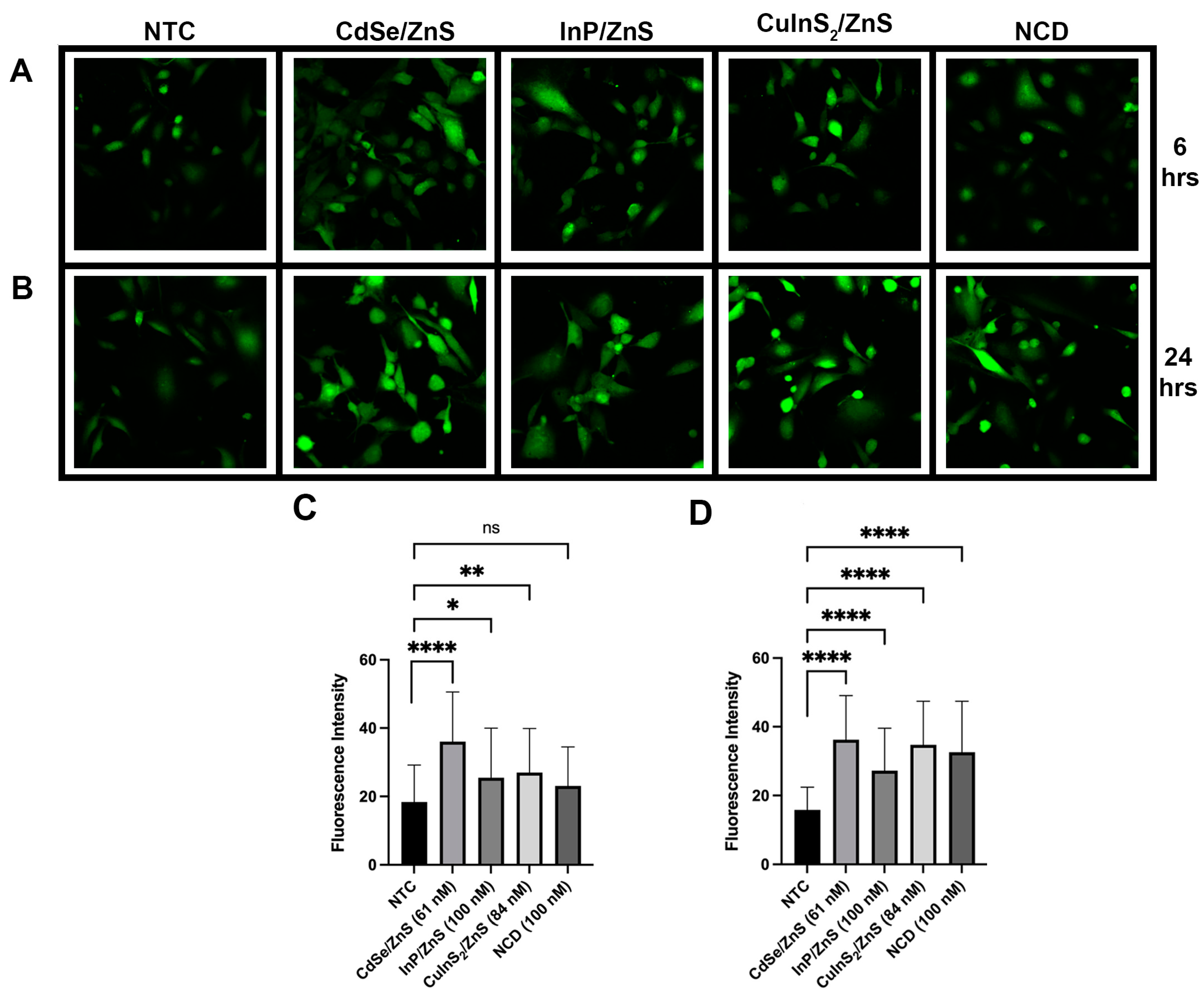 Nanomaterials 14 01086 g008