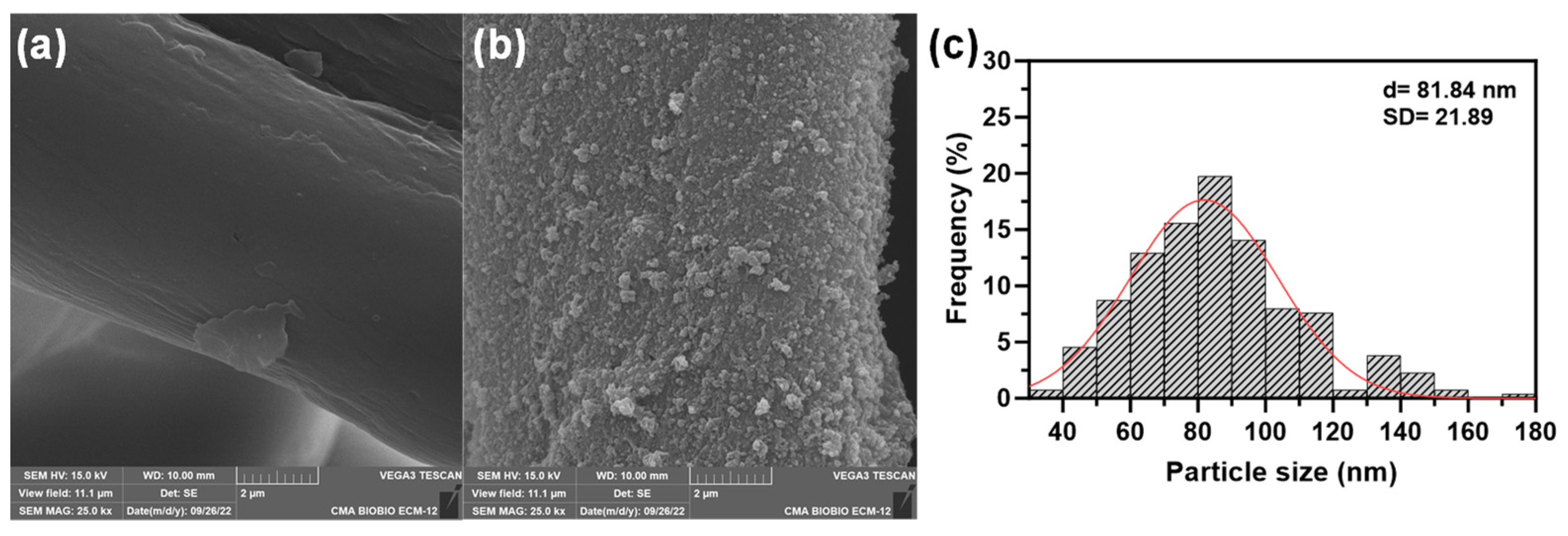 Nanomaterials 14 01087 g003