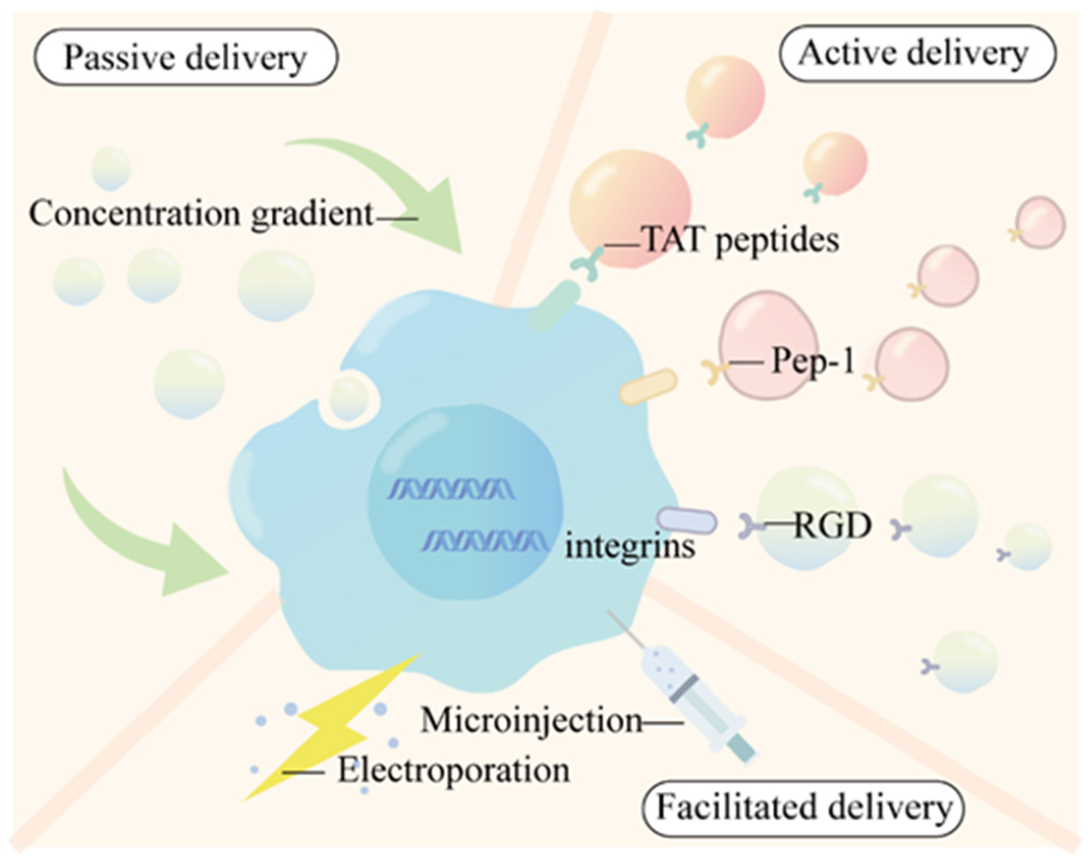 Nanomaterials 14 01088 g002