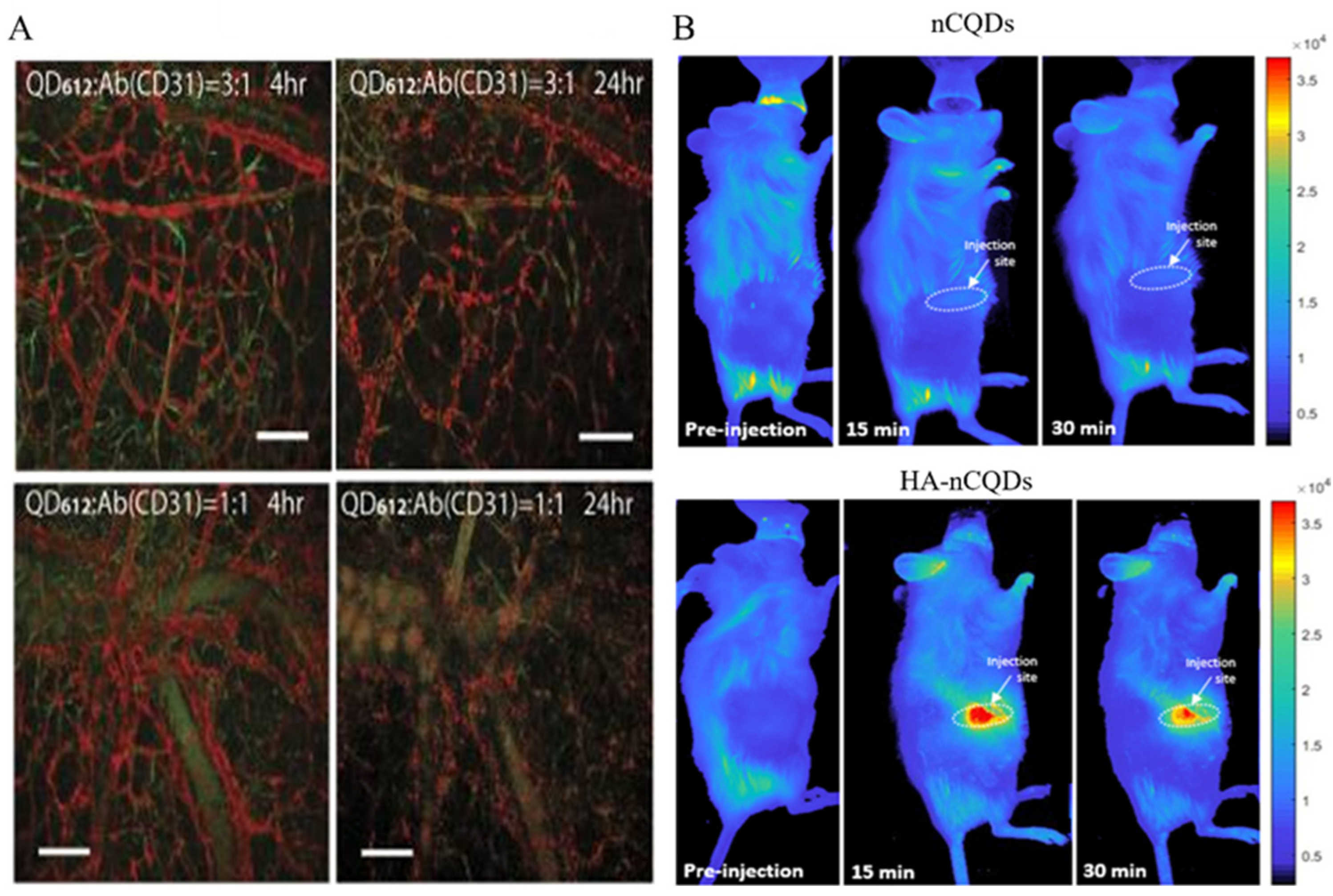 Nanomaterials 14 01088 g004