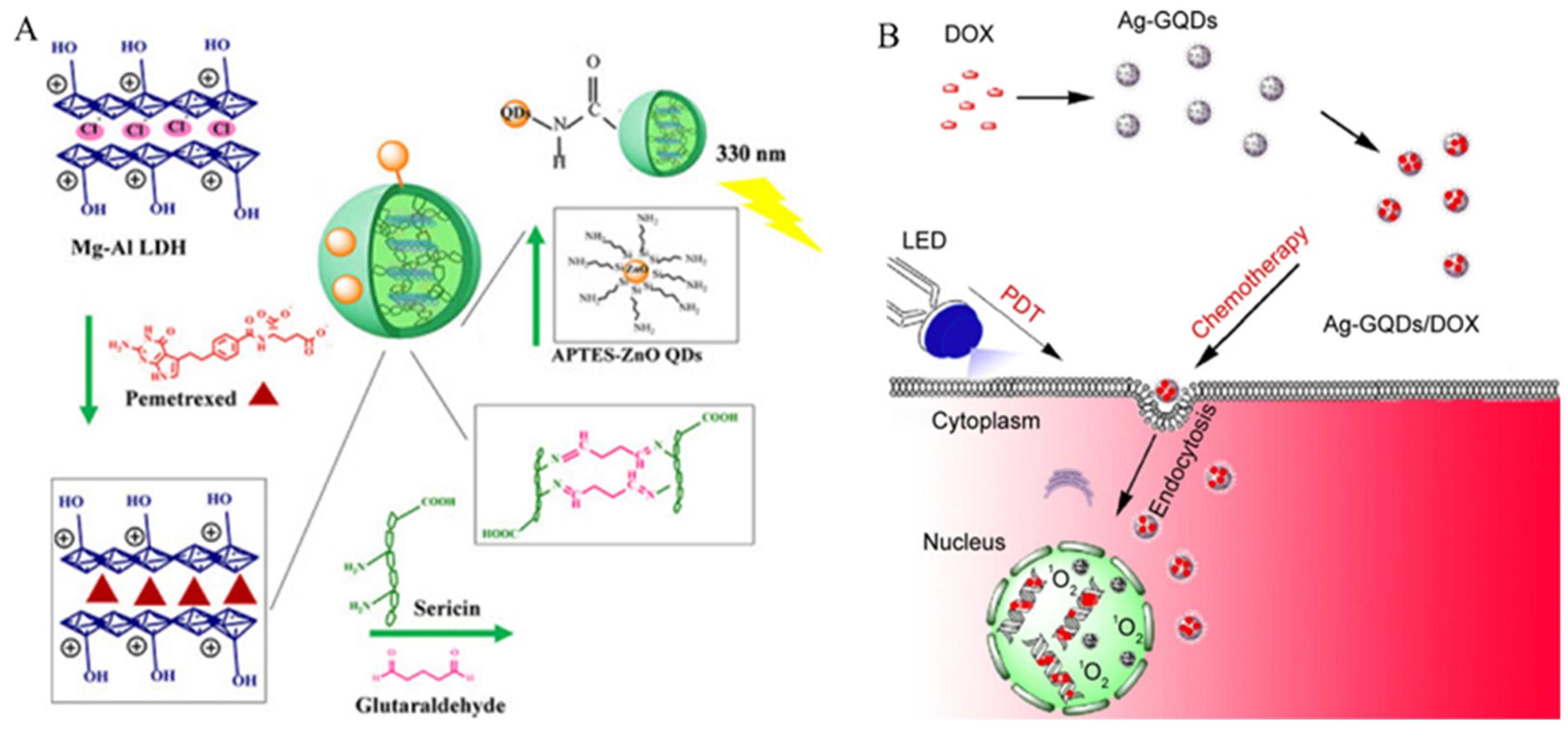 Nanomaterials 14 01088 g006