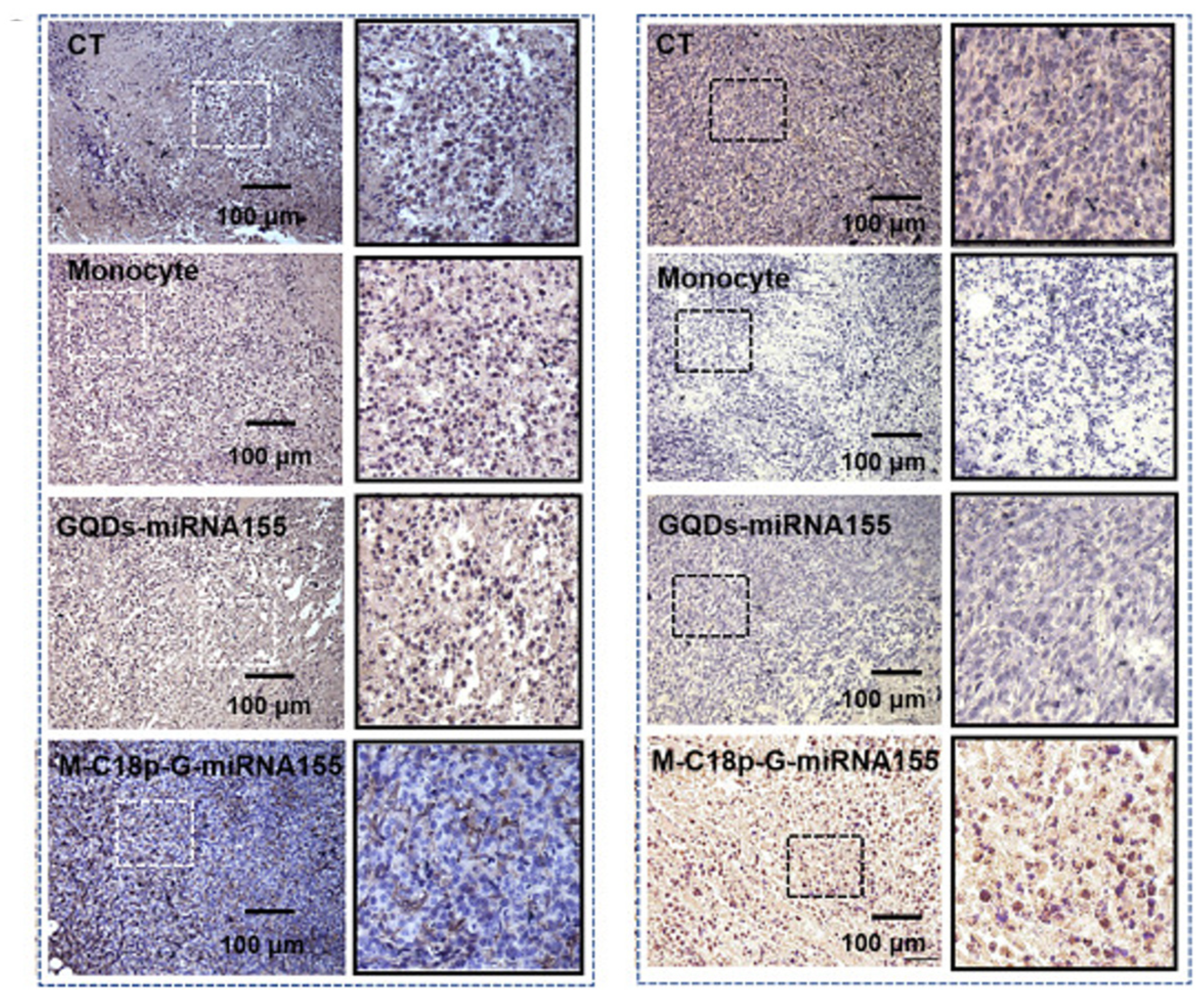 Nanomaterials 14 01088 g008