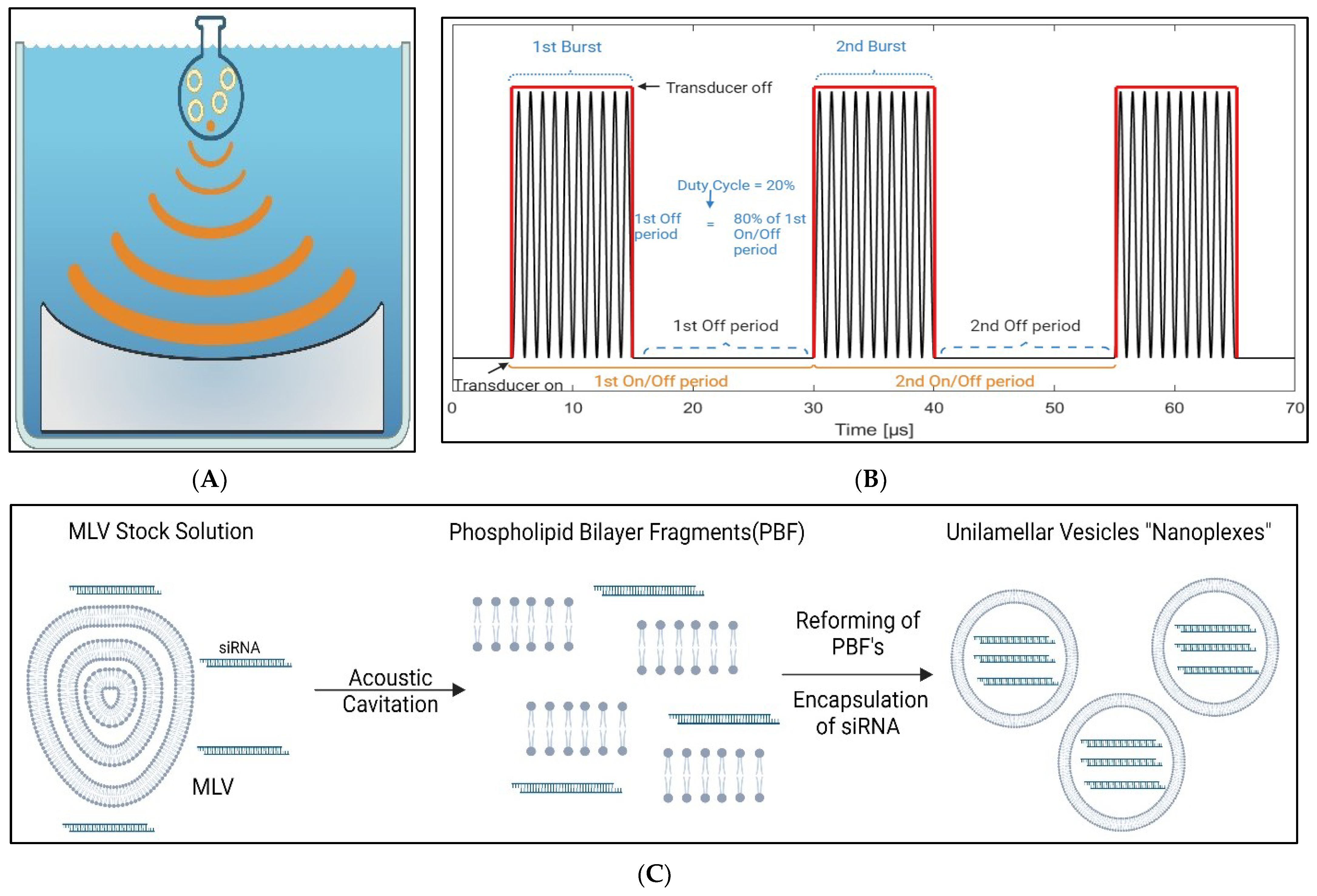 Nanomaterials 14 01089 g001