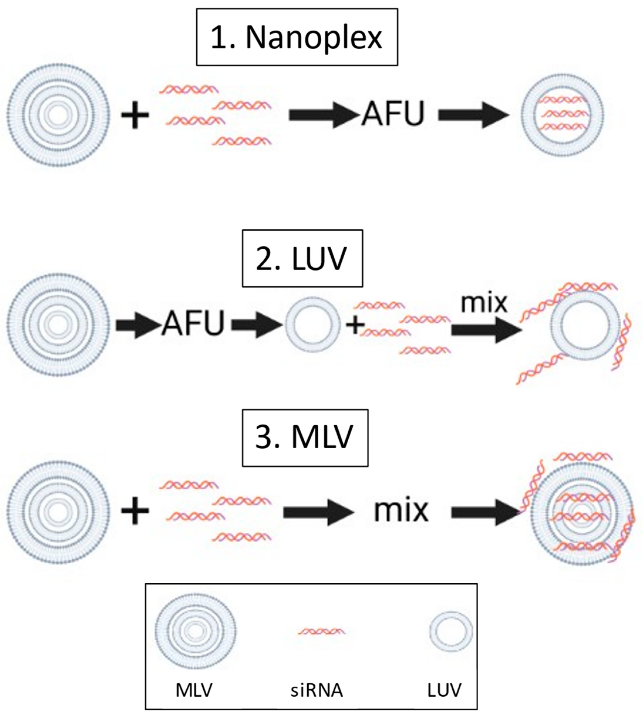 Nanomaterials 14 01089 g002