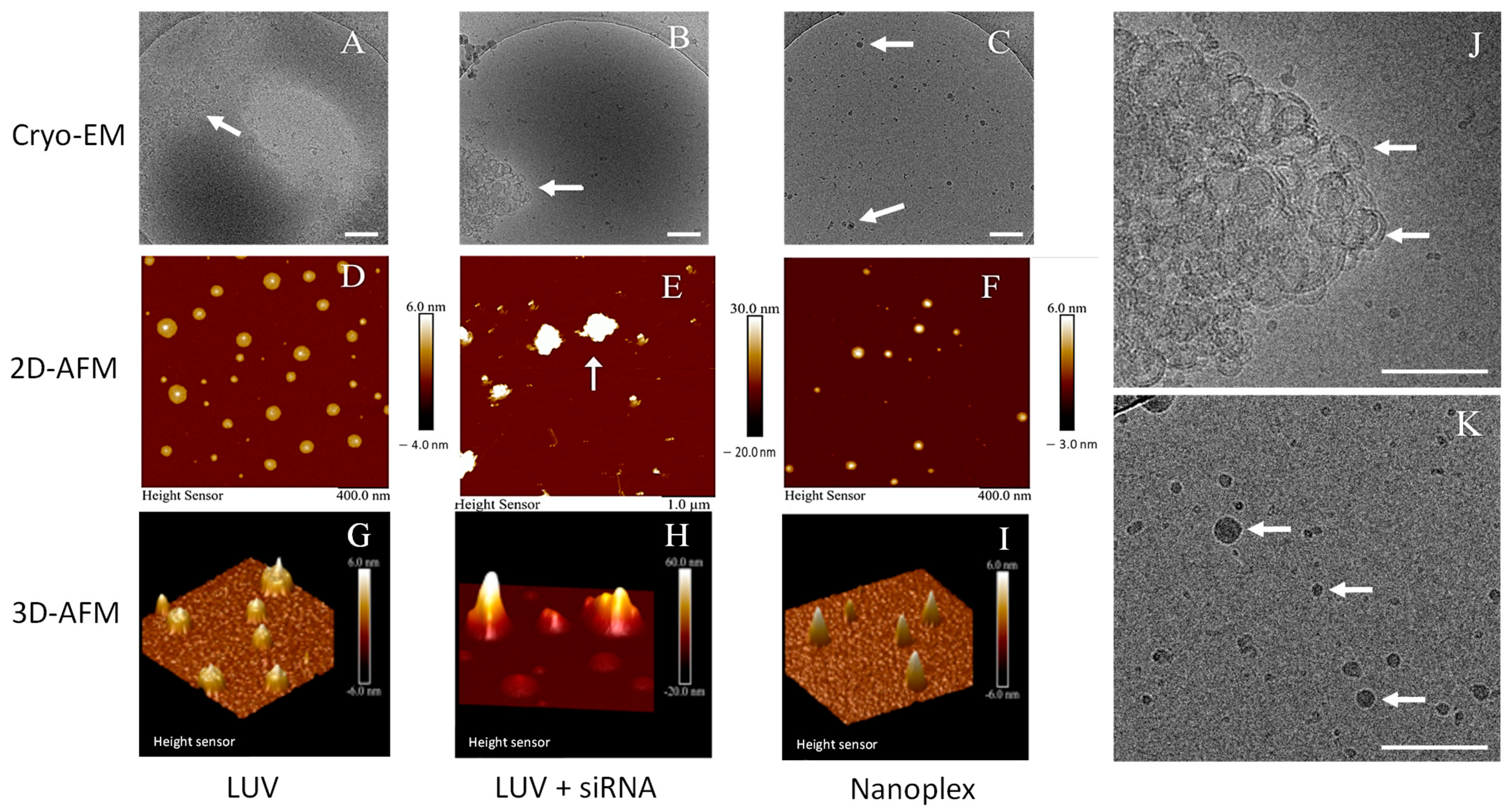Nanomaterials 14 01089 g004
