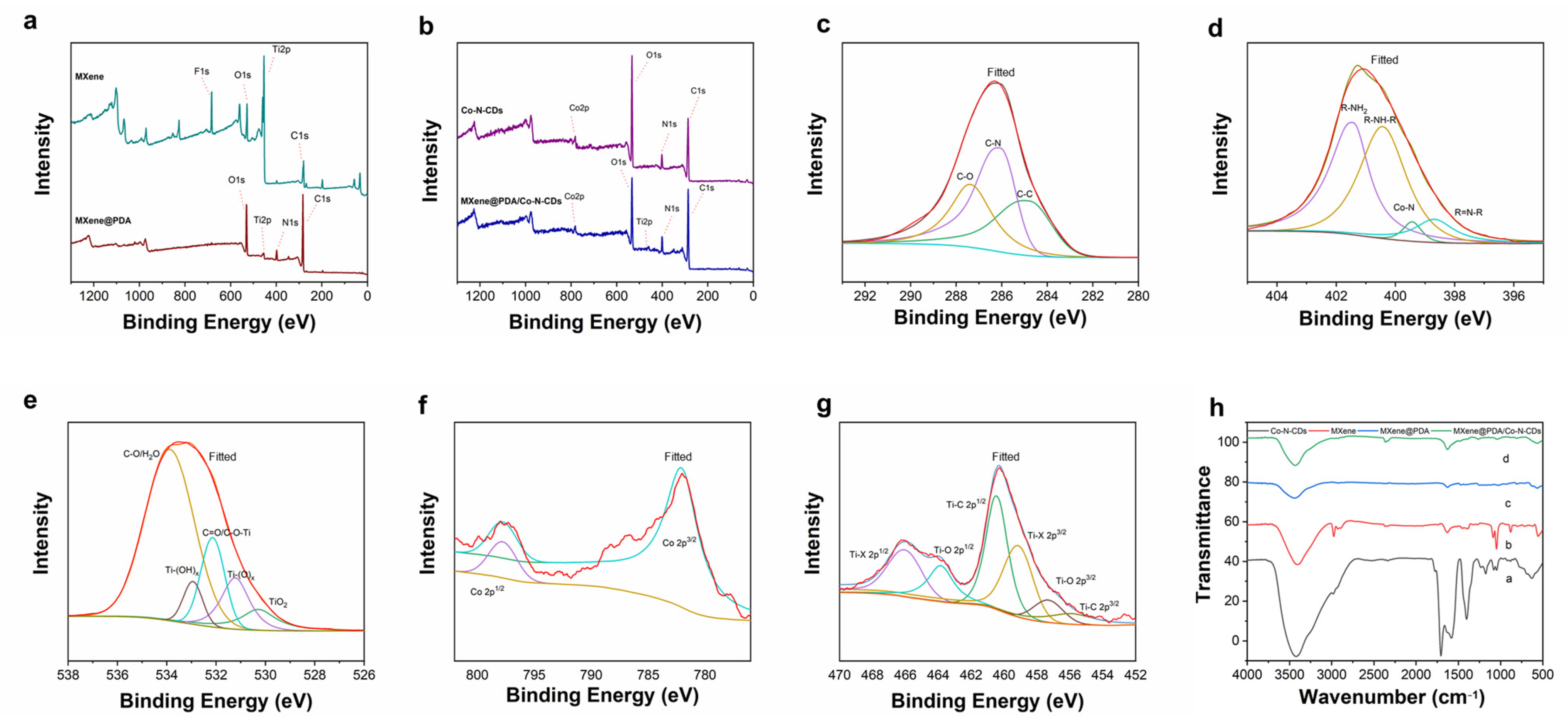 Nanomaterials 14 01090 g003