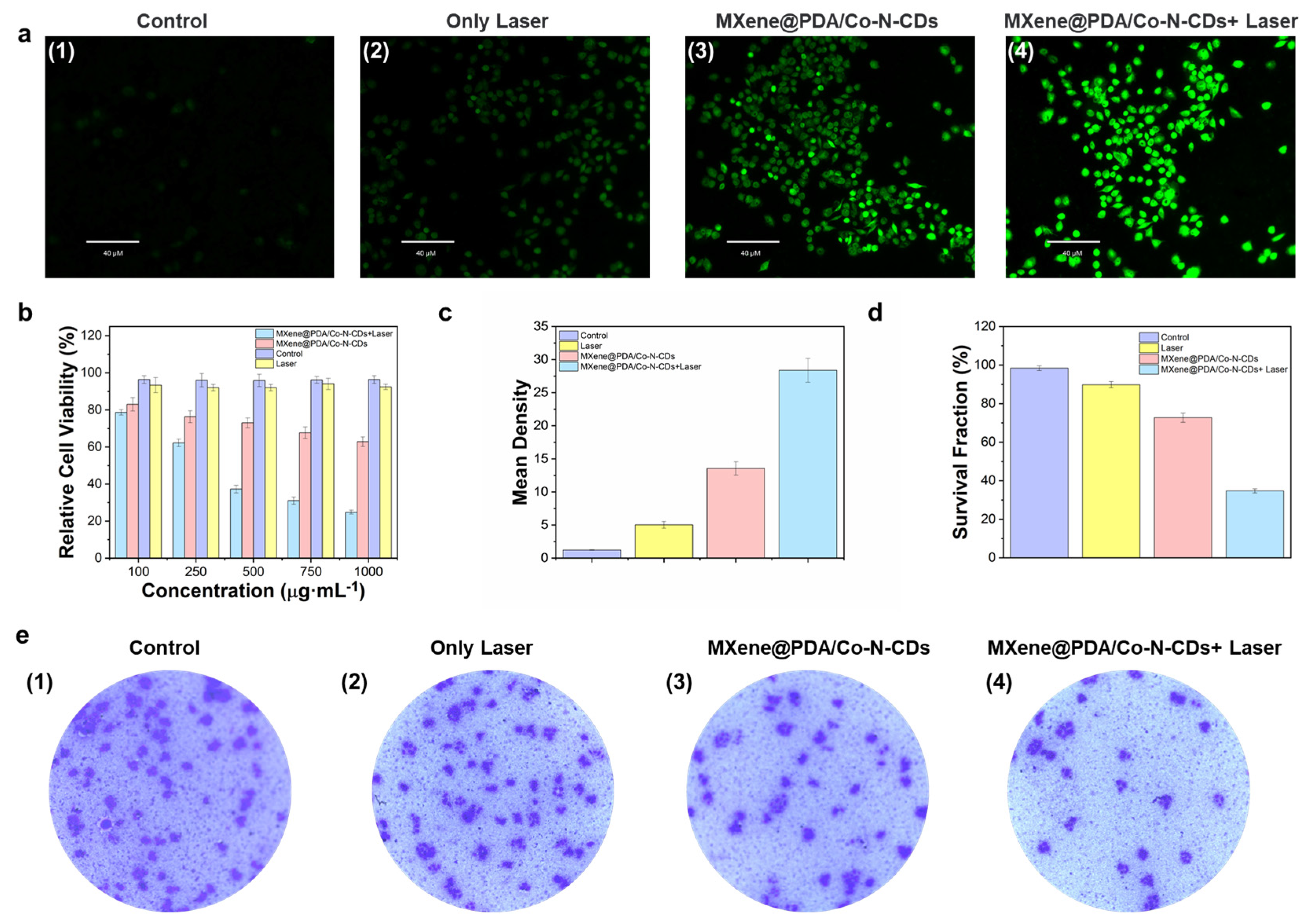 Nanomaterials 14 01090 g007