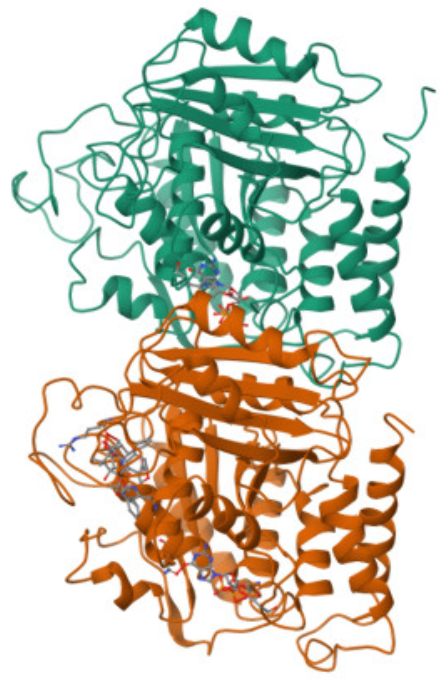 Nanomaterials 14 01093 g001 Nanomaterials 14 01093 g001
