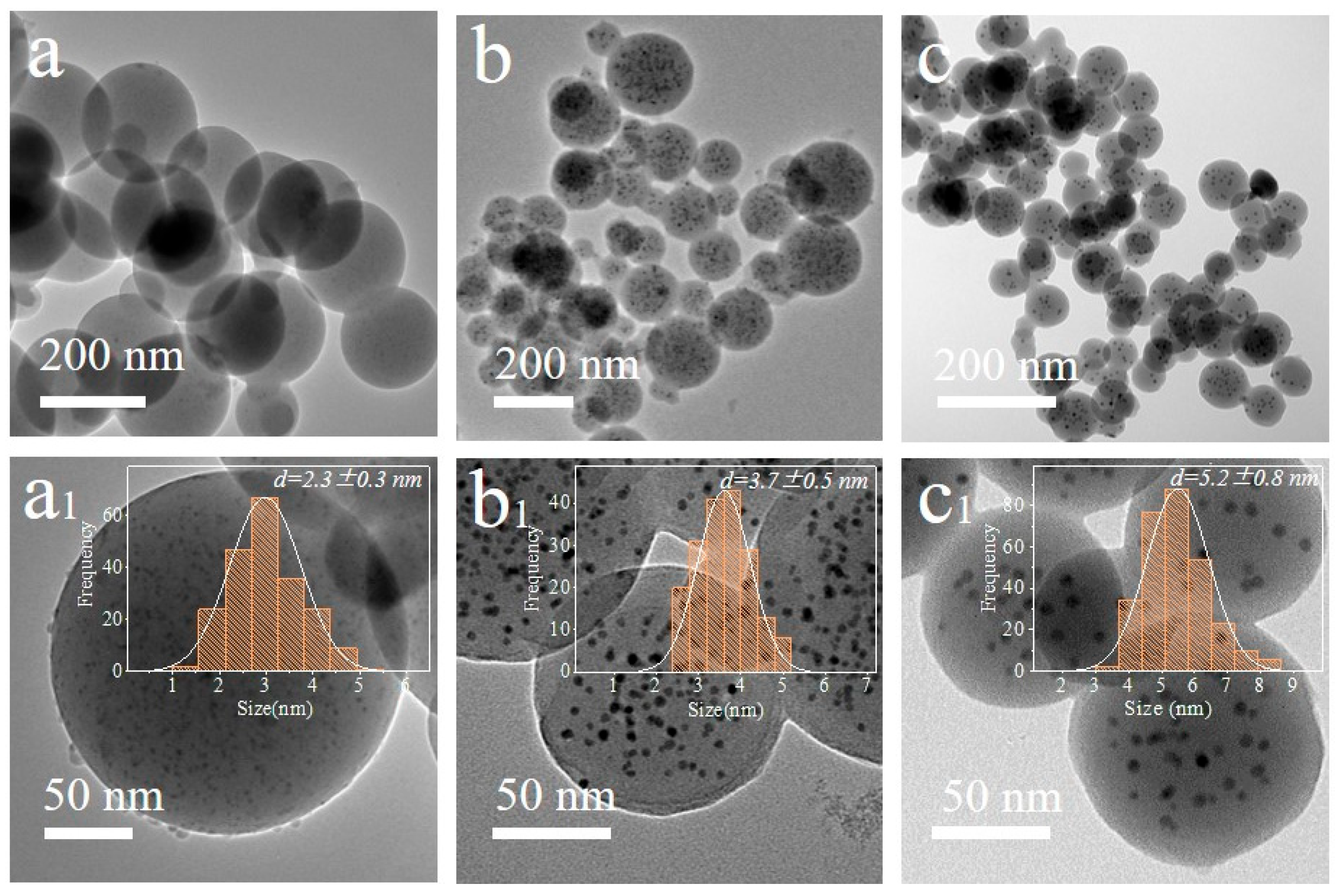 Nanomaterials 14 01095 g001