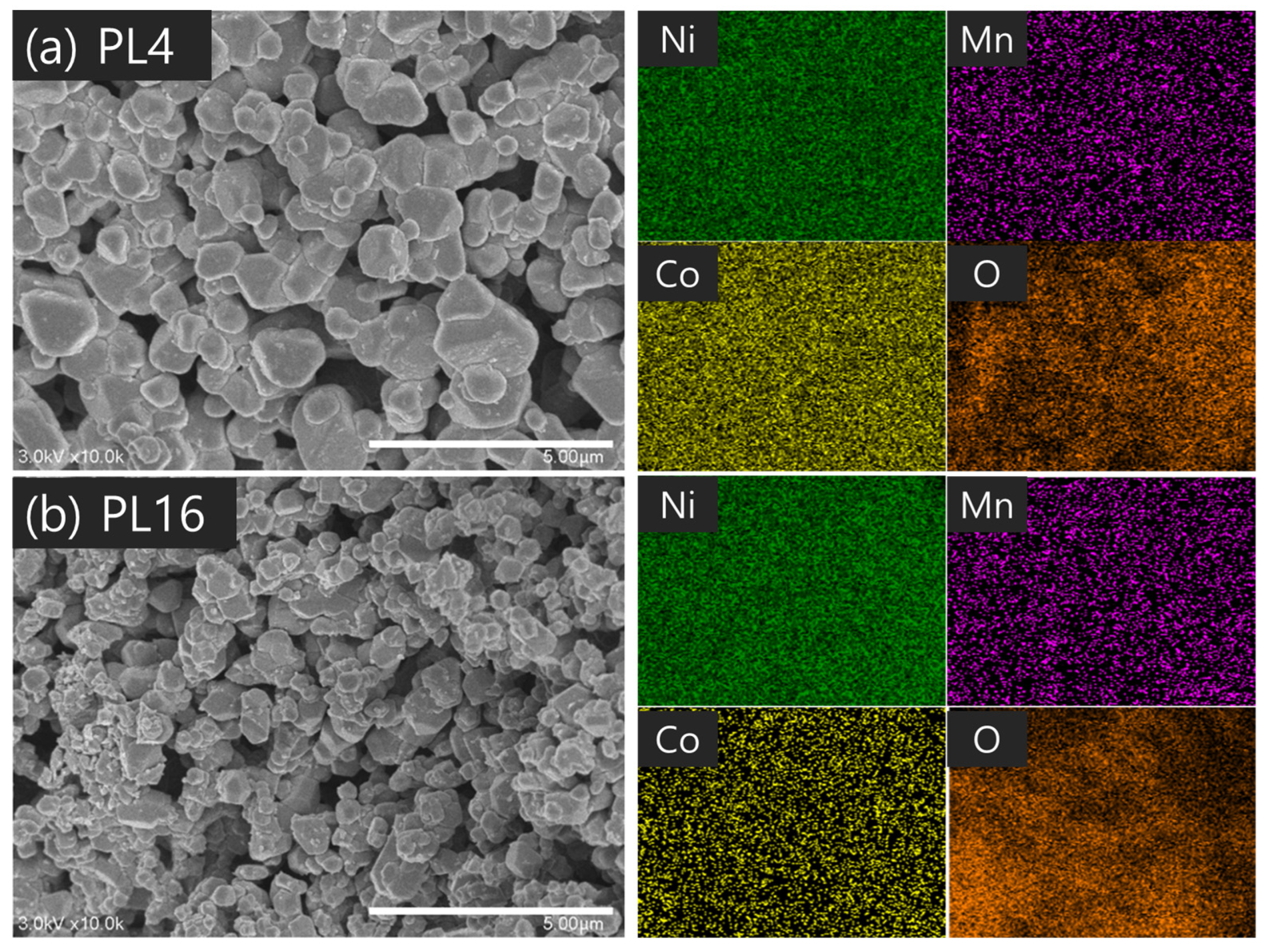 Nanomaterials 14 01096 g007