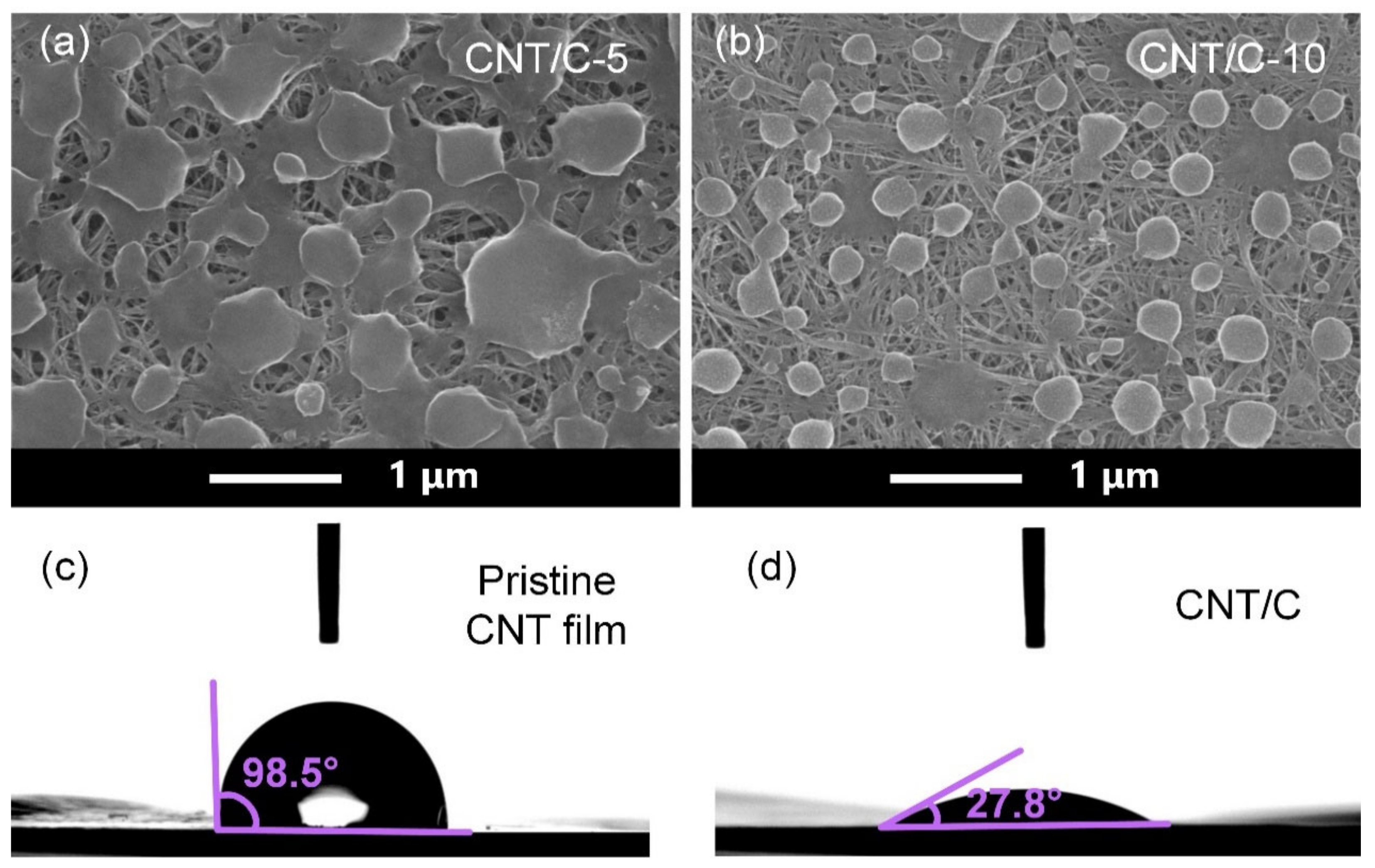 Nanomaterials 14 01099 g002