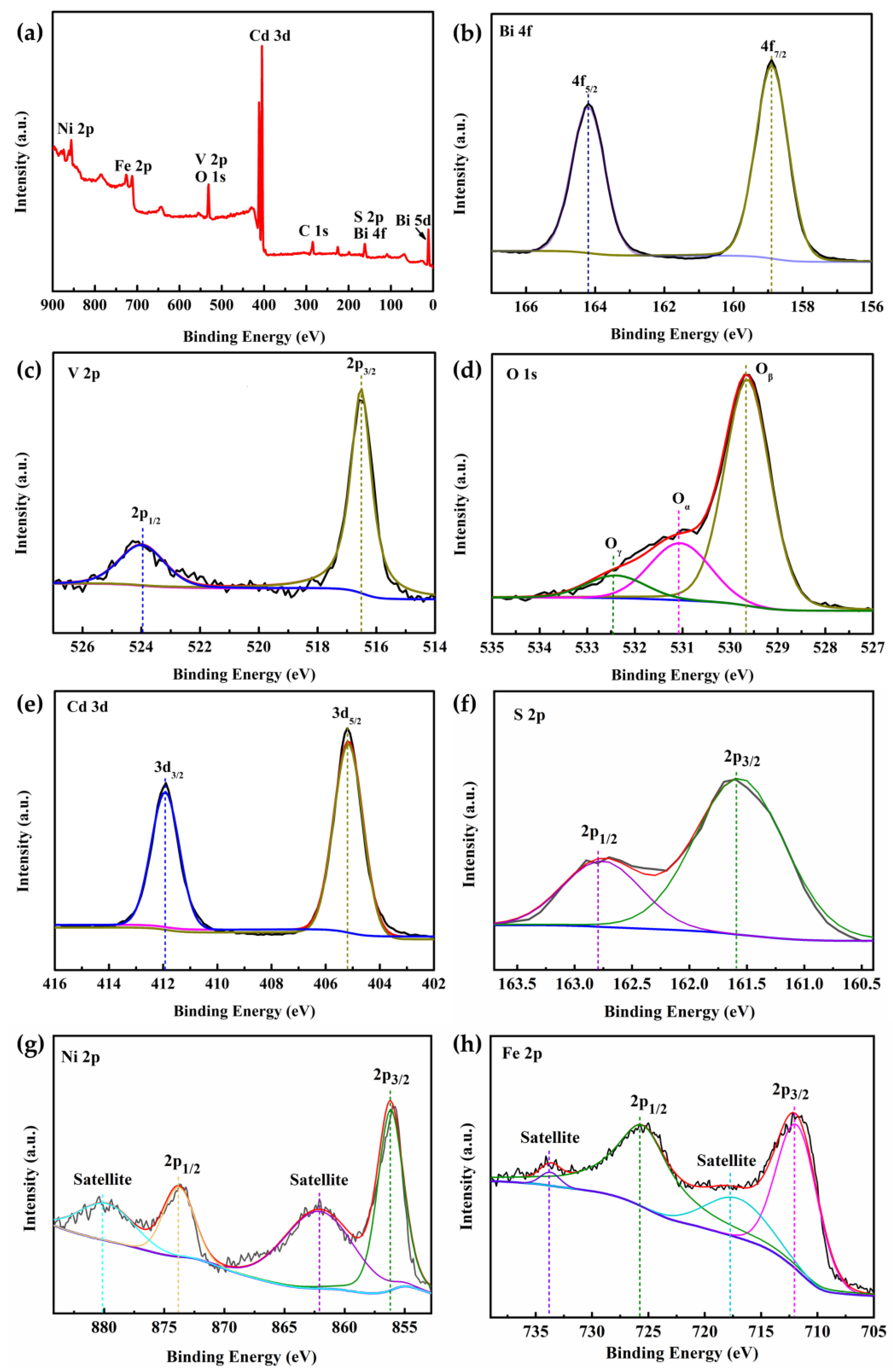 Nanomaterials 14 01100 g003