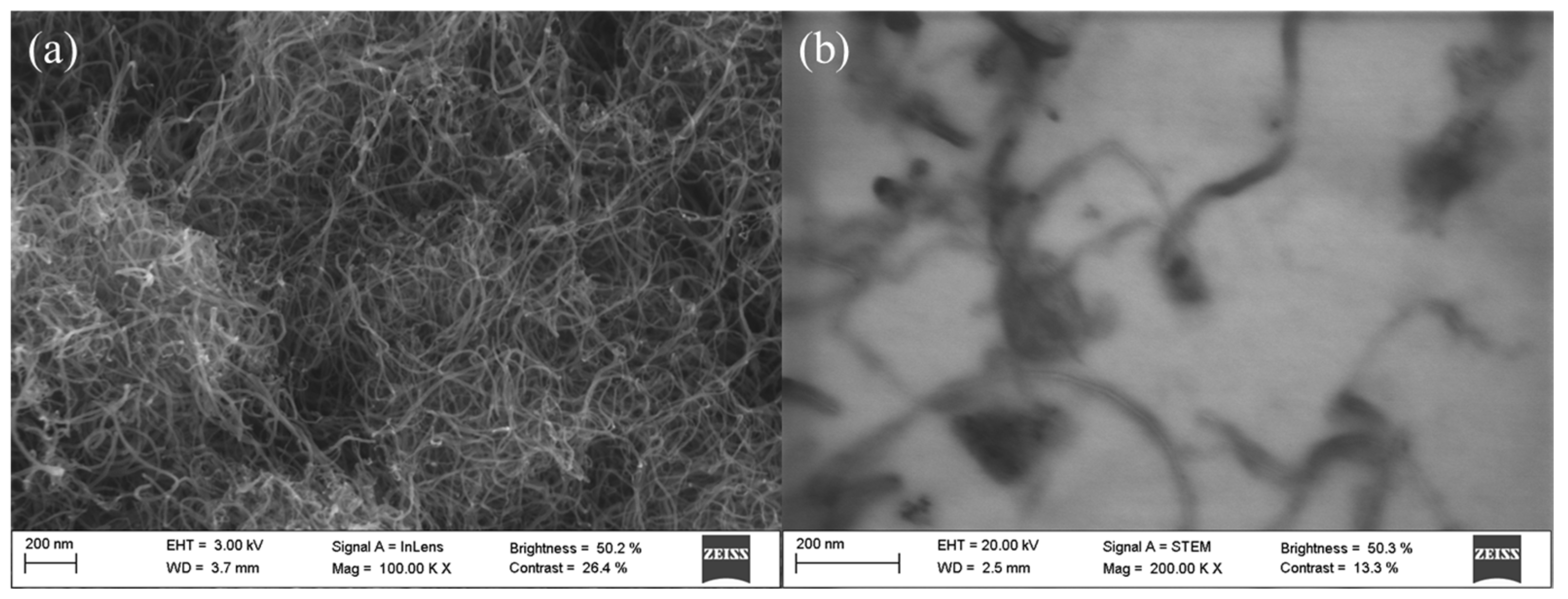 Nanomaterials 14 01101 g002