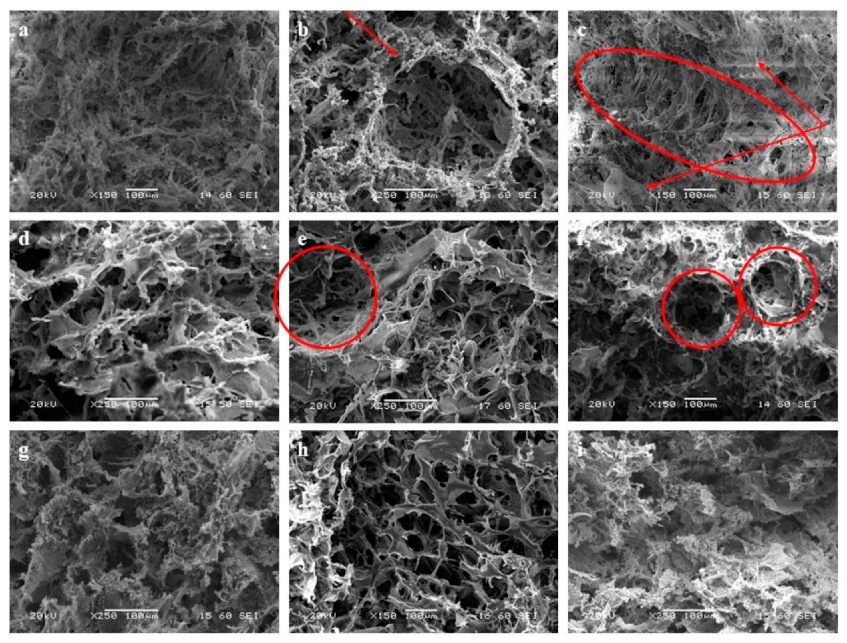 Nanomaterials 14 01102 g001