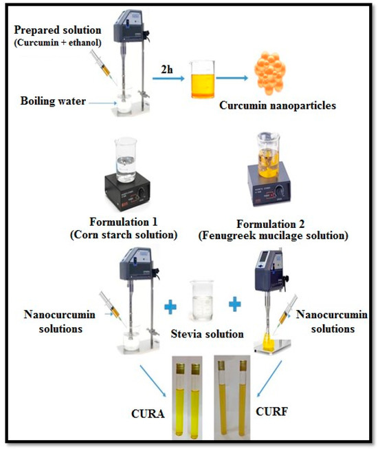 Nanocurcumin-Based Sugar-Free Formulation: Development and Impact 