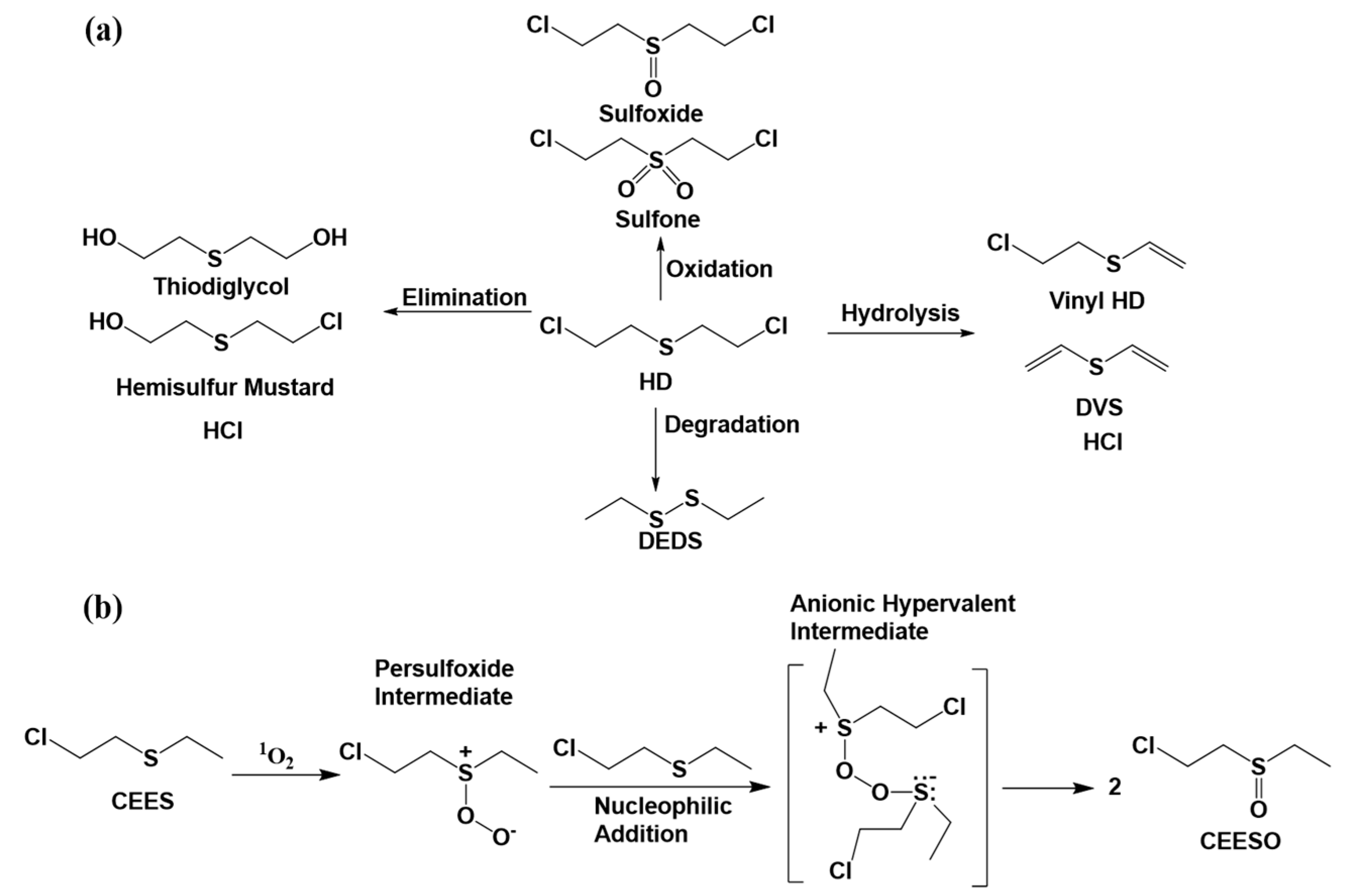 Nanomaterials 14 01108 g003