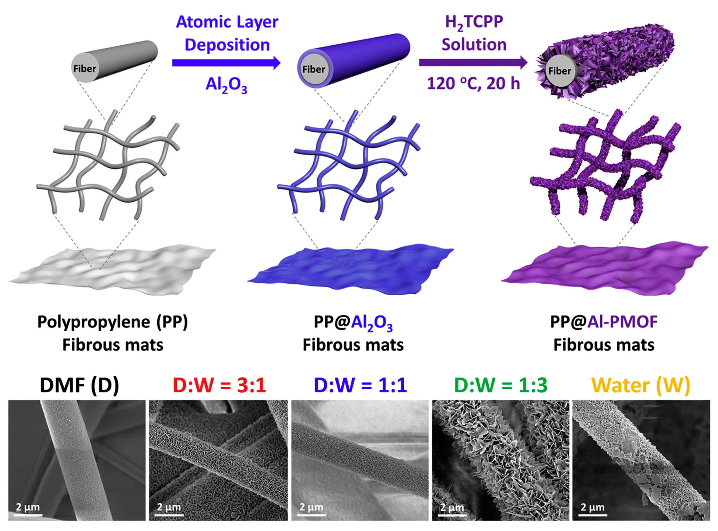 Nanomaterials 14 01108 g008