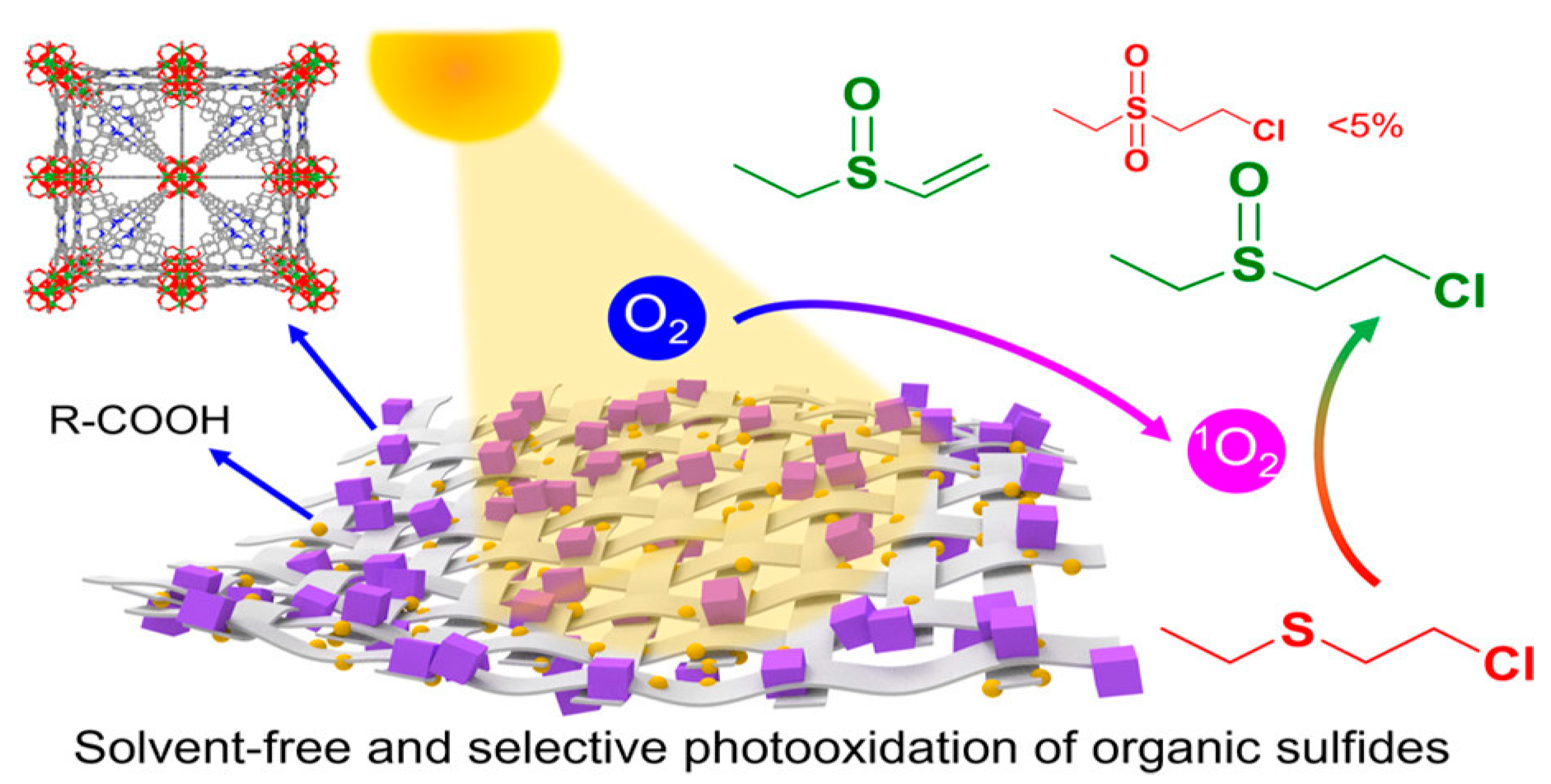 Nanomaterials 14 01108 g010