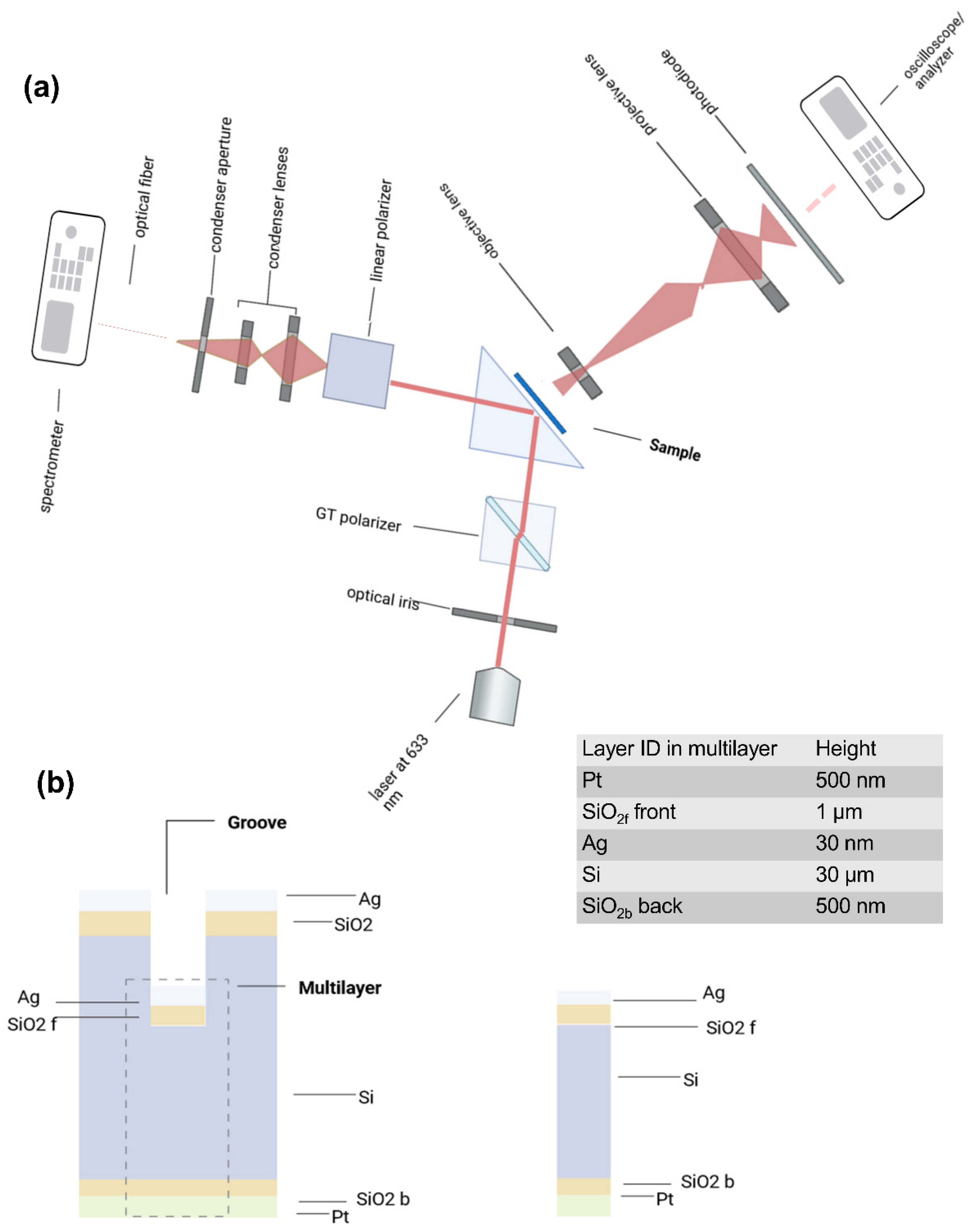 Nanomaterials 14 01109 g001