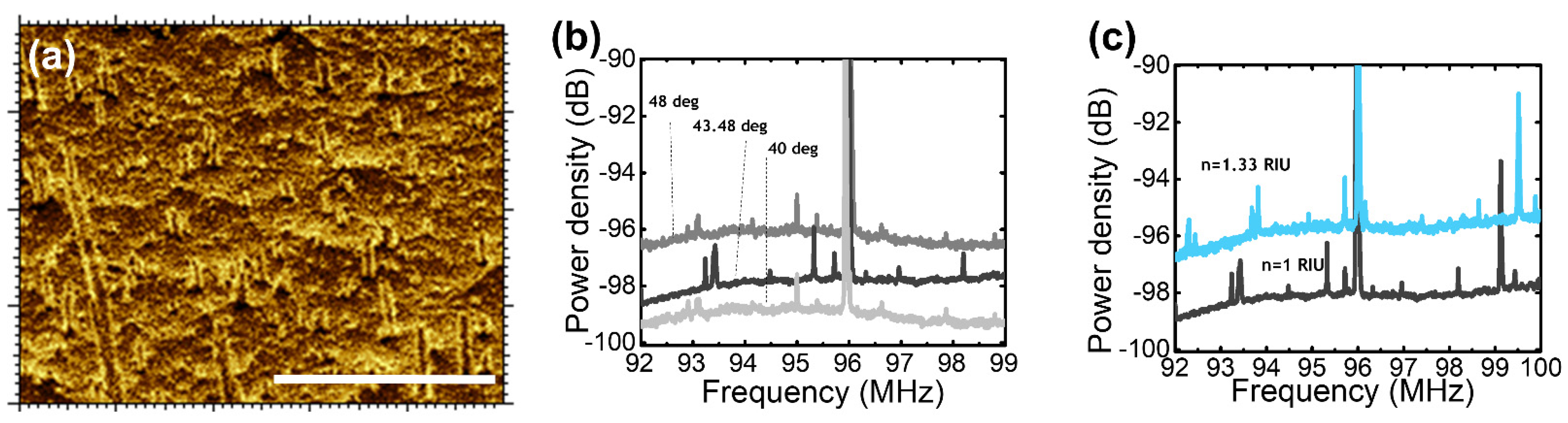 Nanomaterials 14 01109 g004