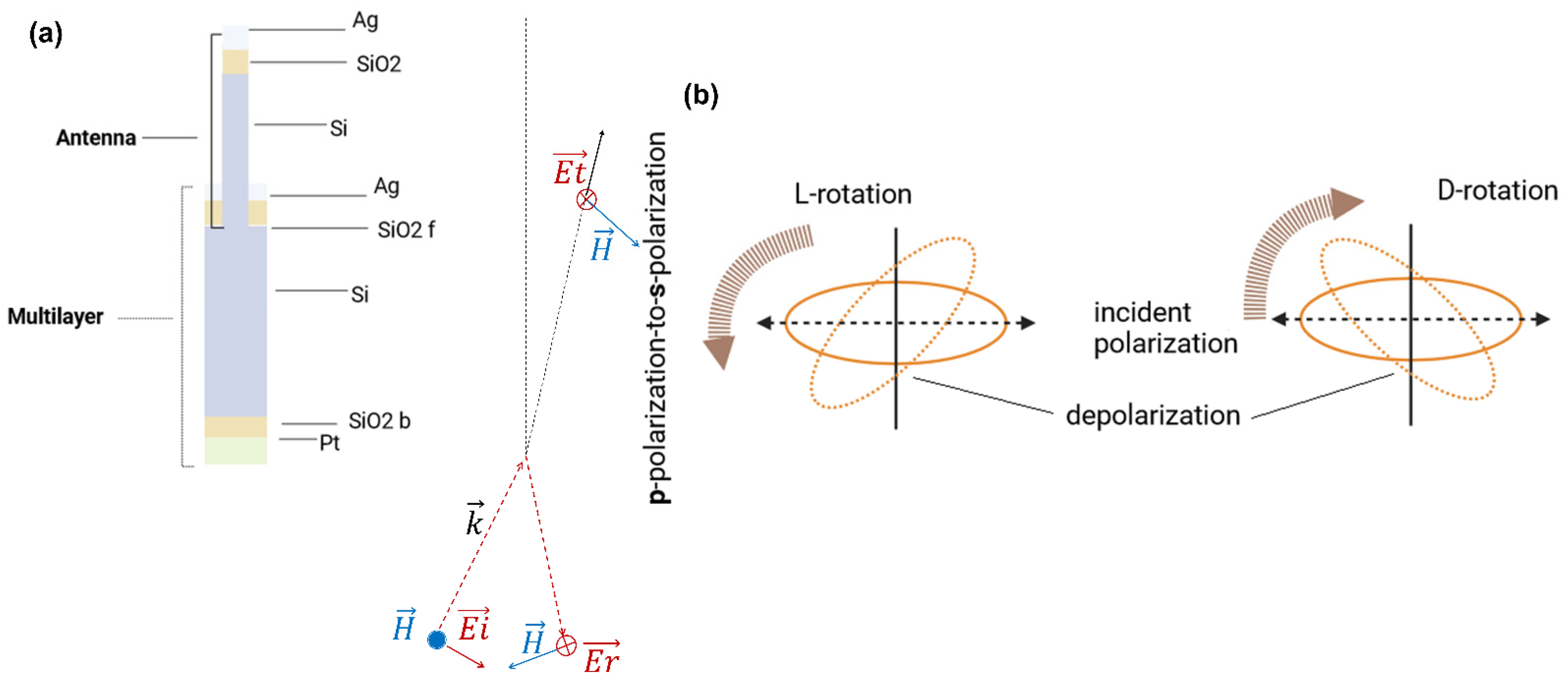 Nanomaterials 14 01109 g005