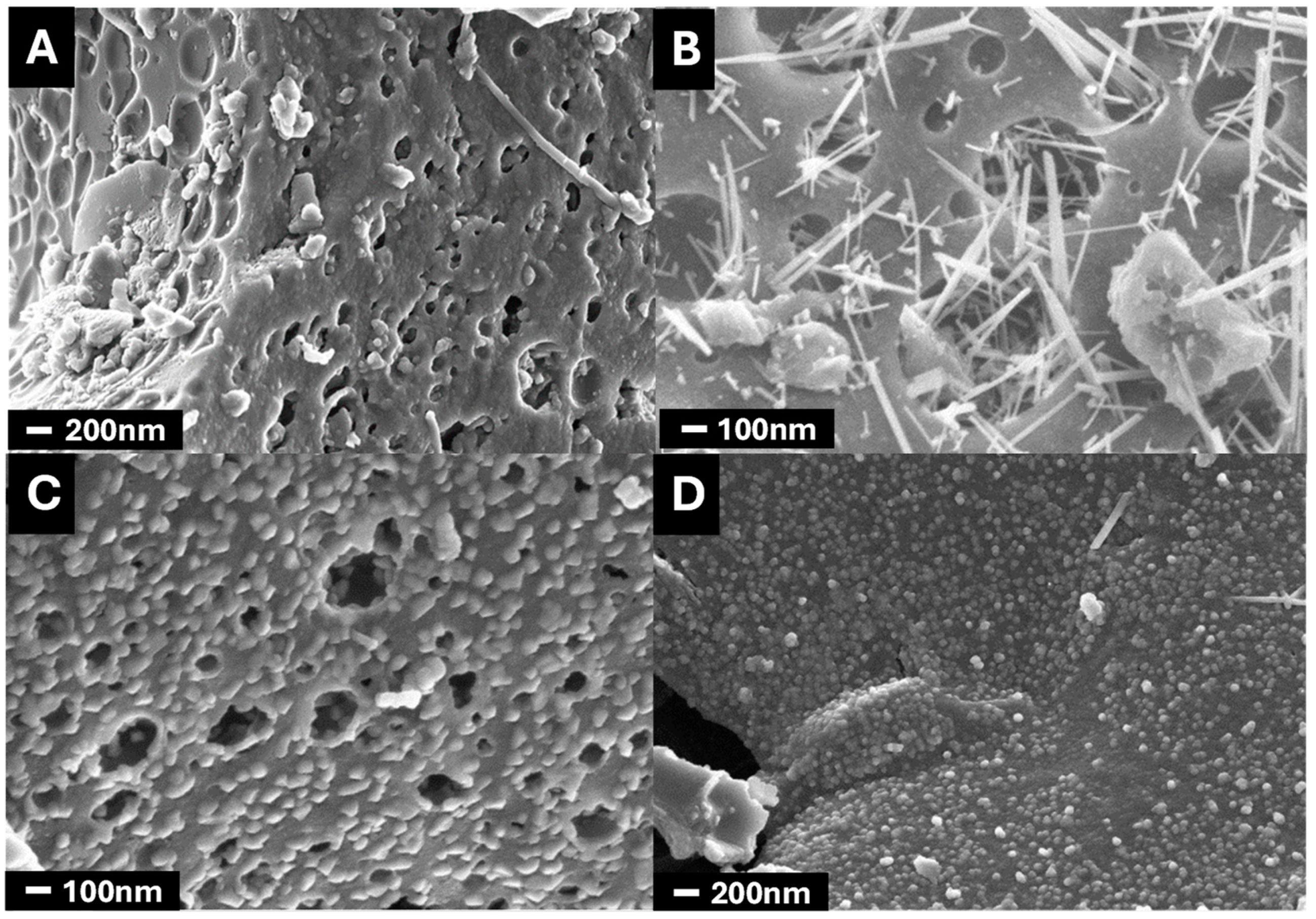 Nanomaterials 14 01112 g001