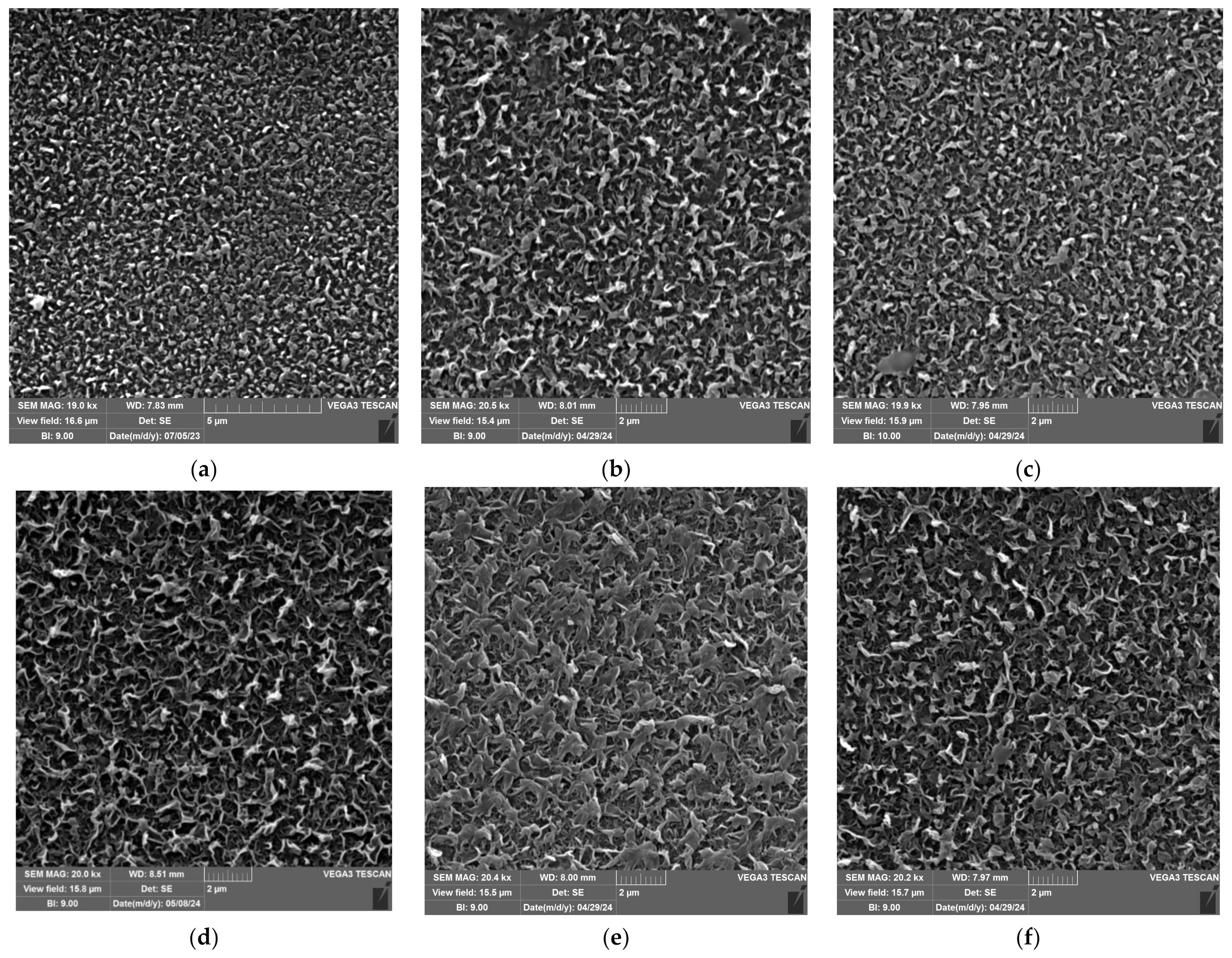 Nanomaterials 14 01117 g007a