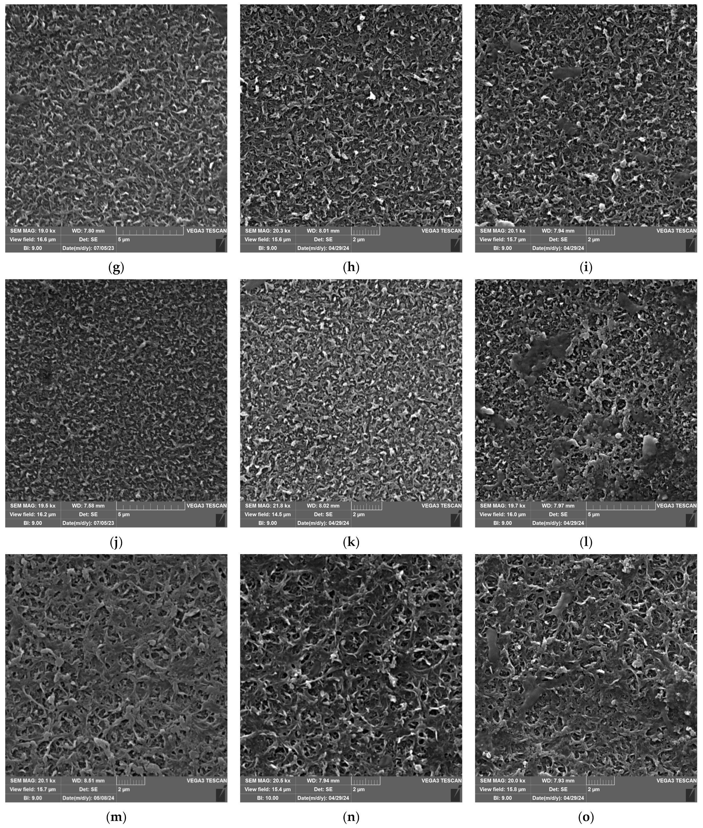 Nanomaterials 14 01117 g007b