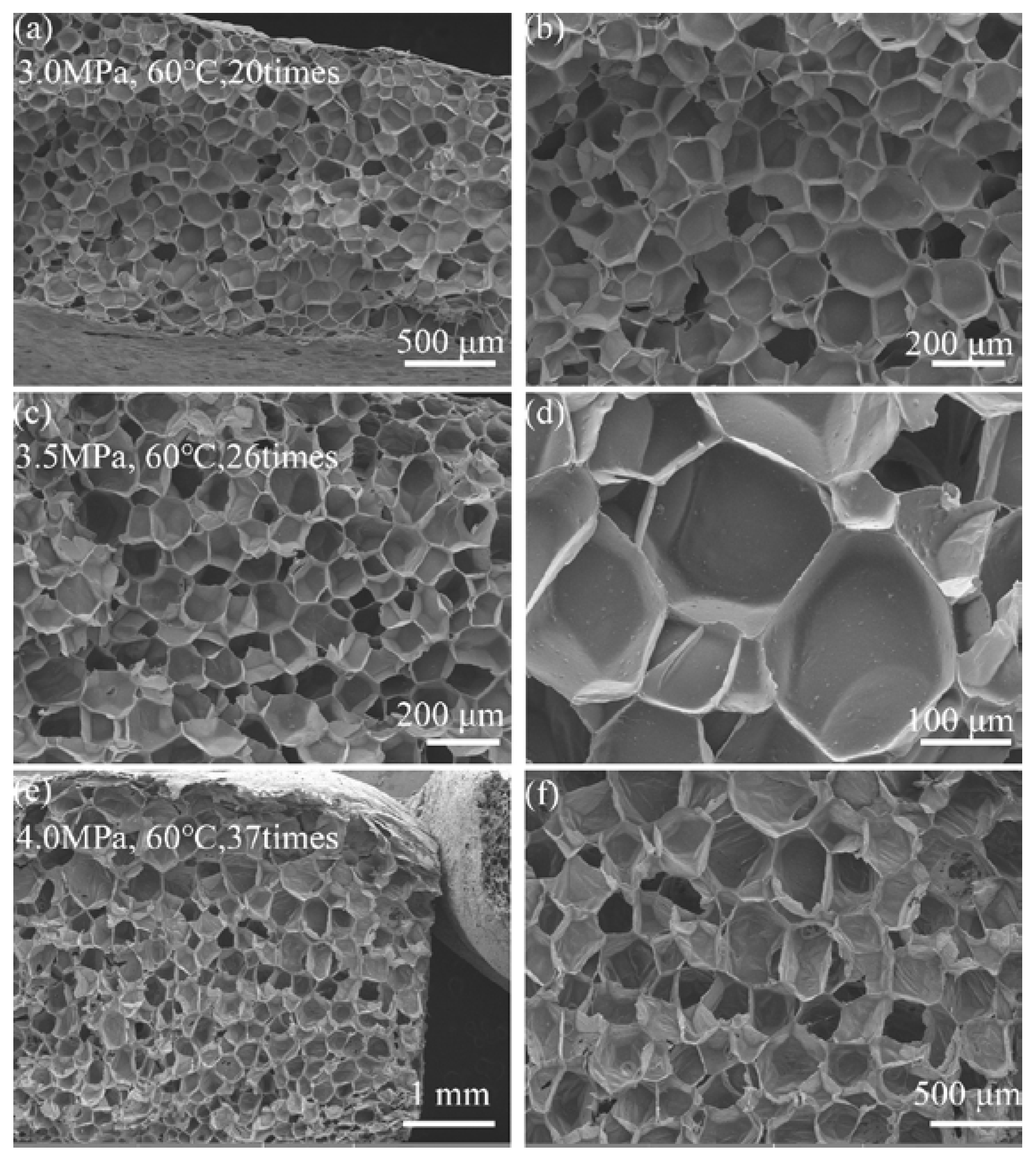 Nanomaterials 14 01120 g007