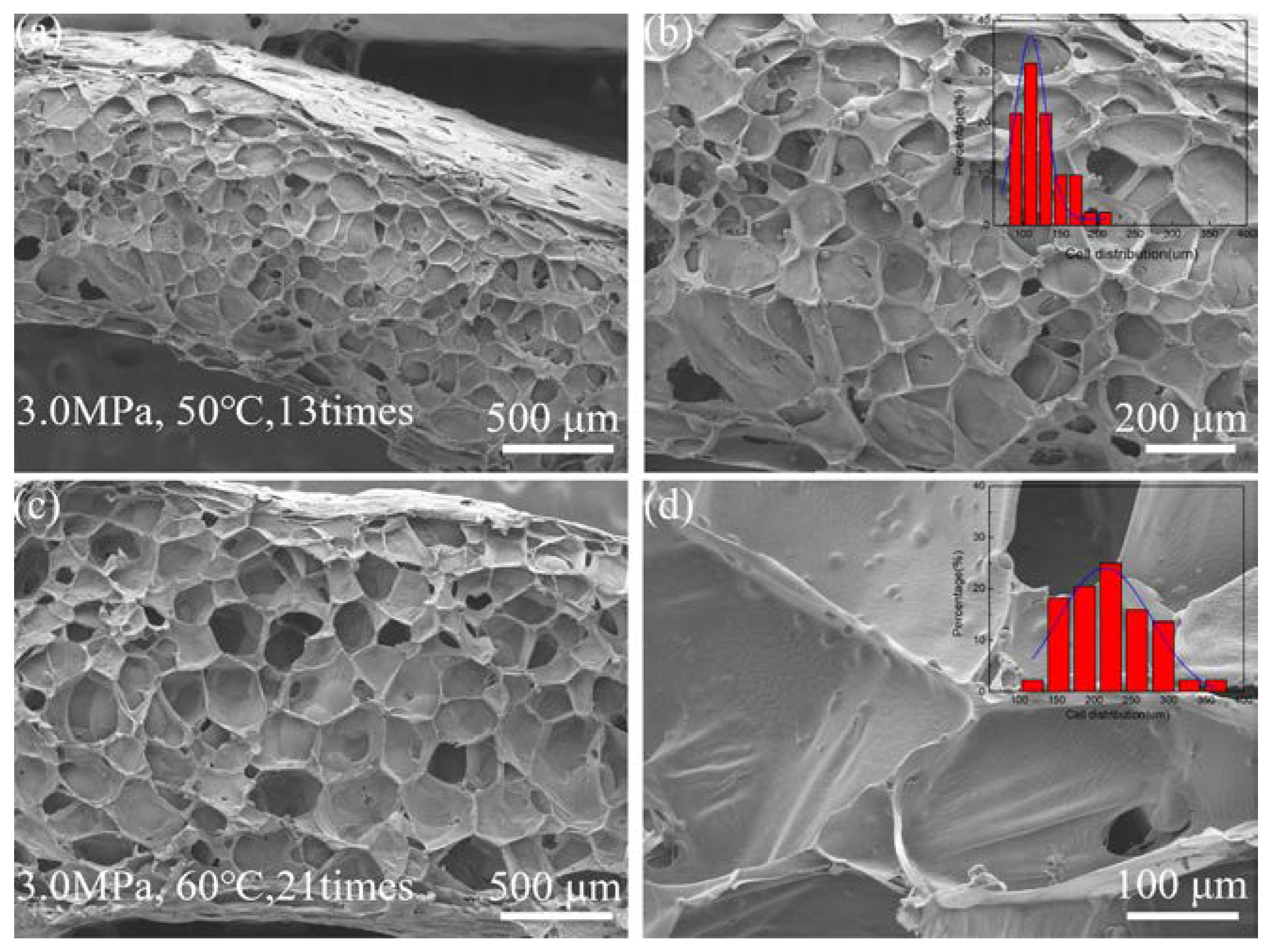 Nanomaterials 14 01120 g008