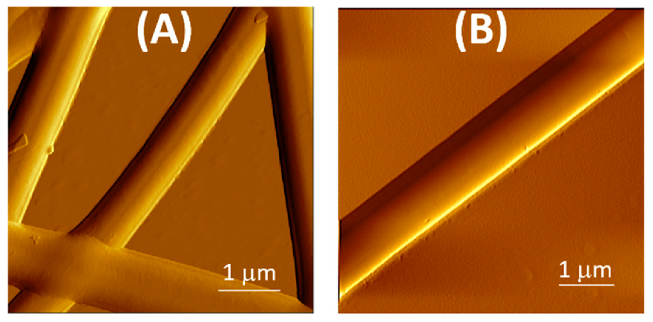Nanomaterials 14 01123 g003