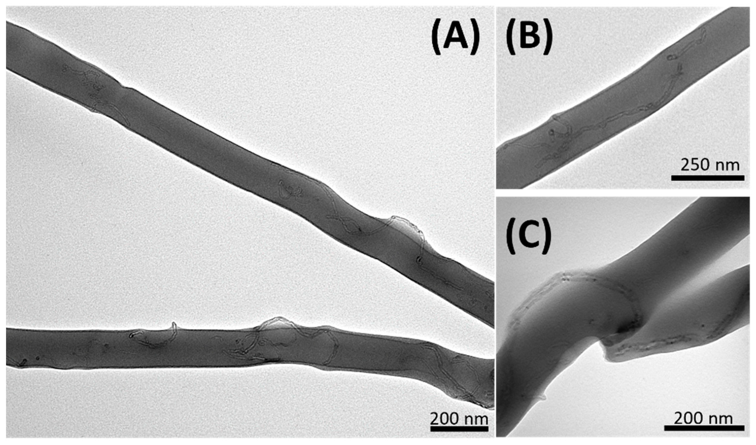 Nanomaterials 14 01123 g004