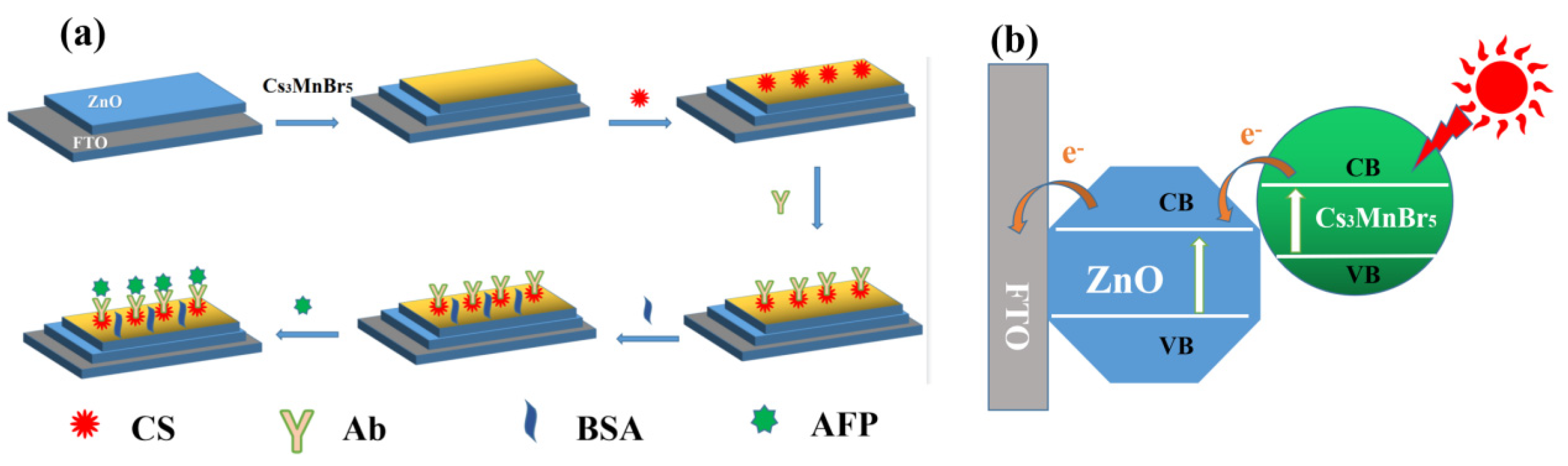Nanomaterials 14 01127 sch001