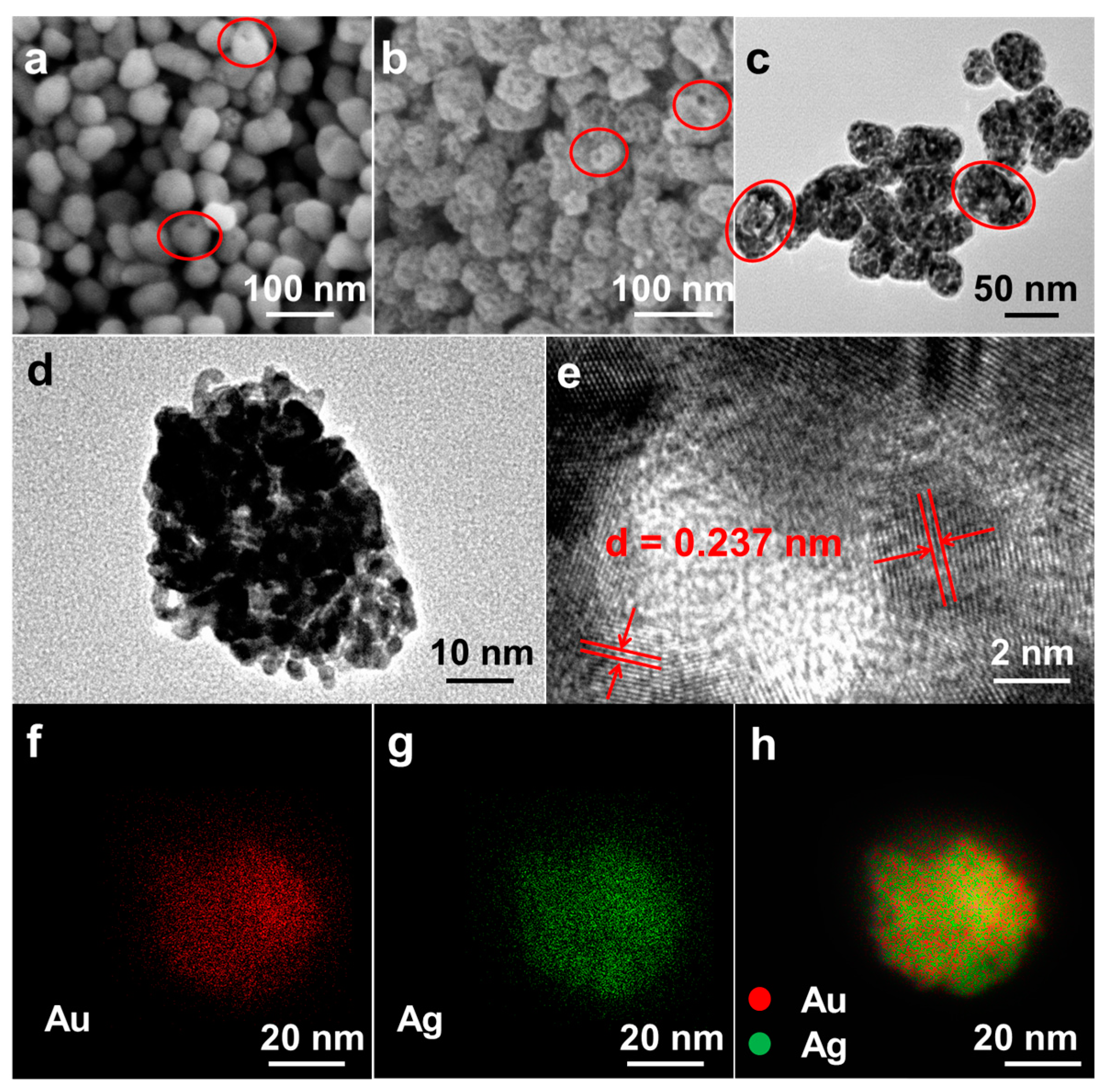 Nanomaterials 14 01131 g001