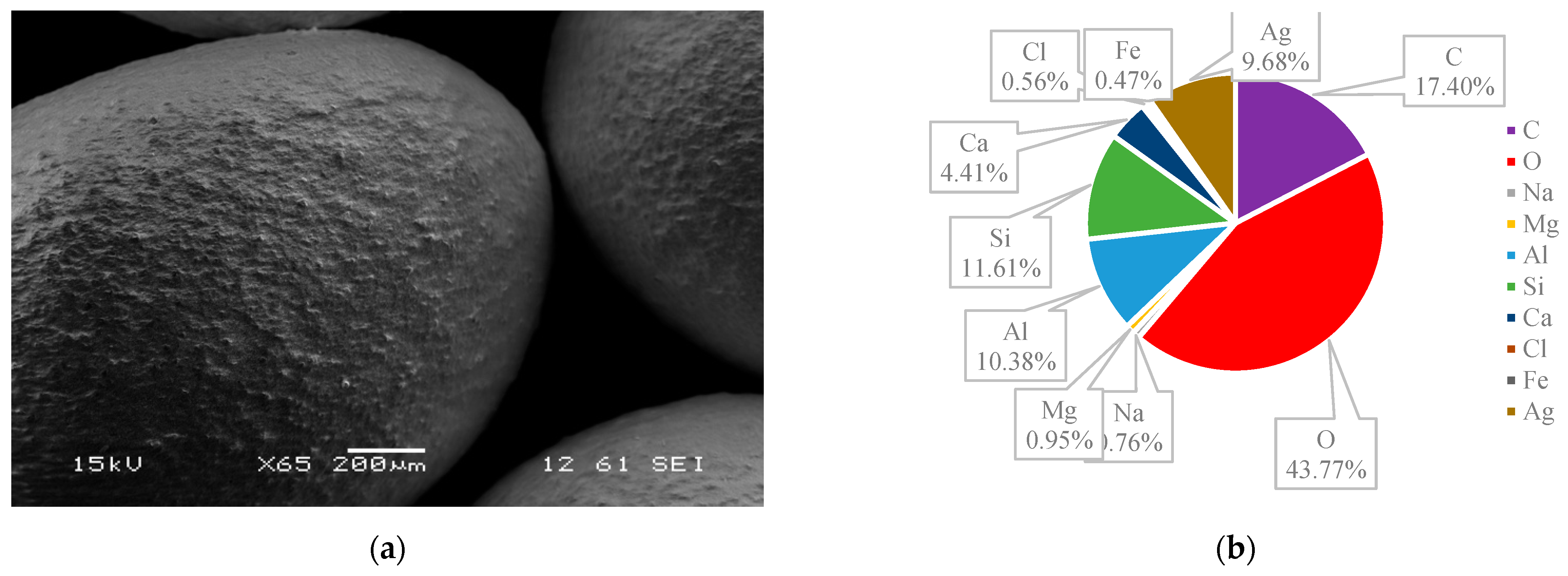 Nanomaterials 14 01143 g012