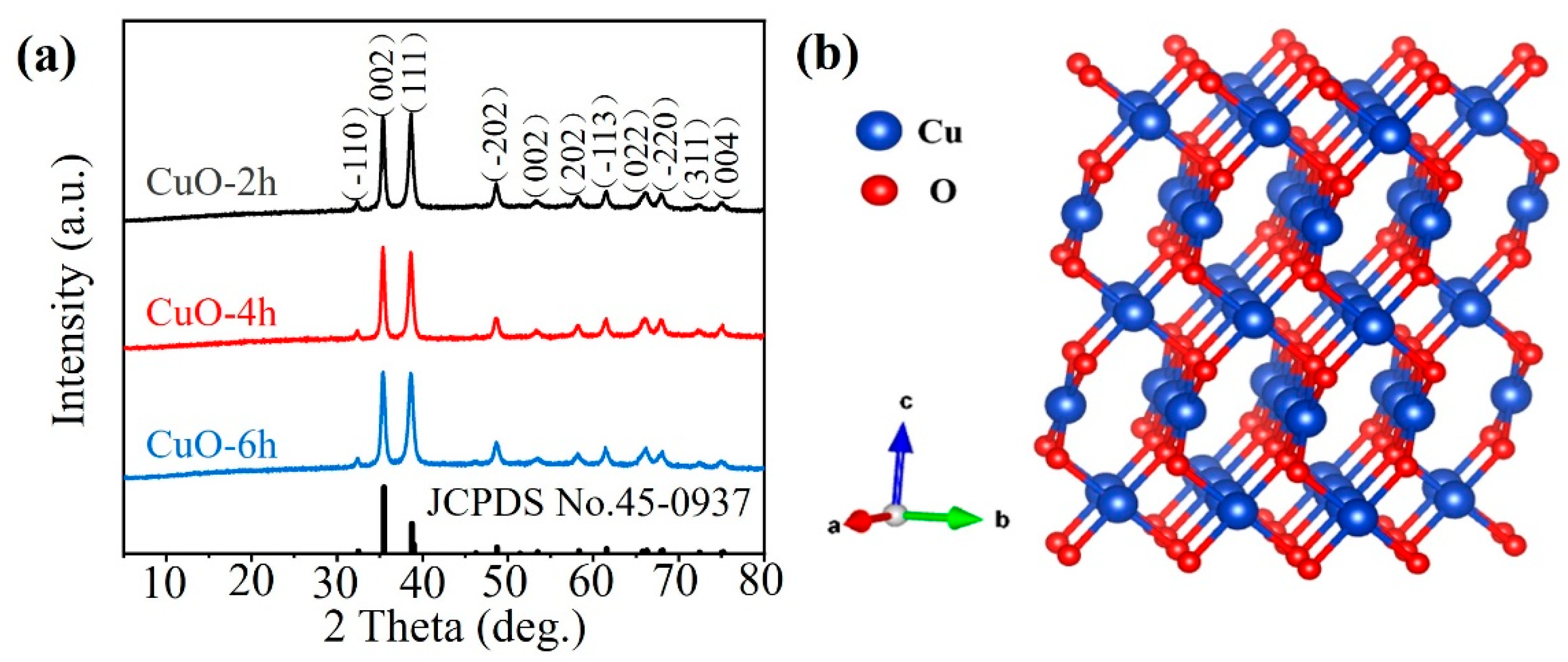Nanomaterials 14 01145 g001