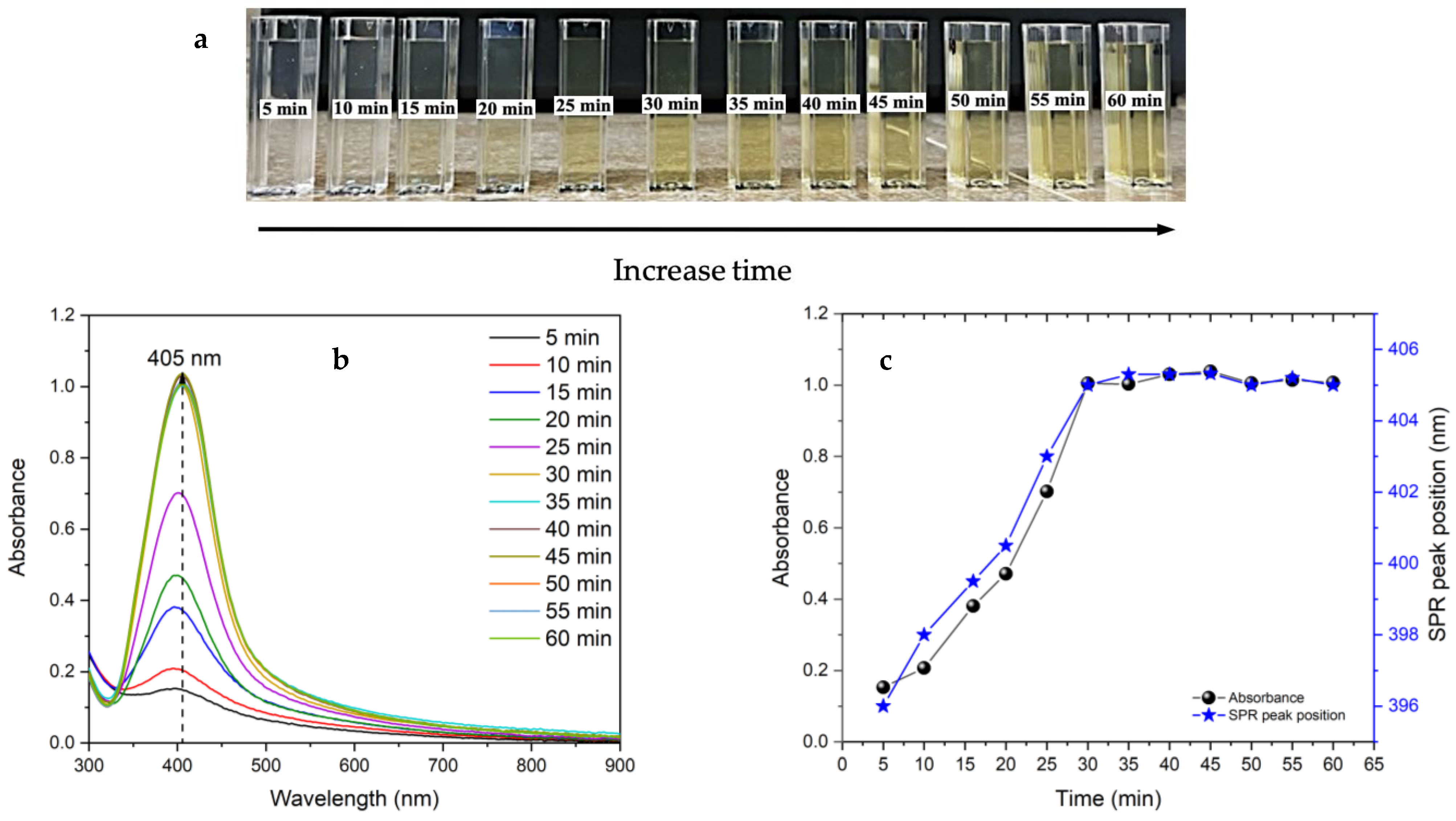 Nanomaterials 14 01147 g004