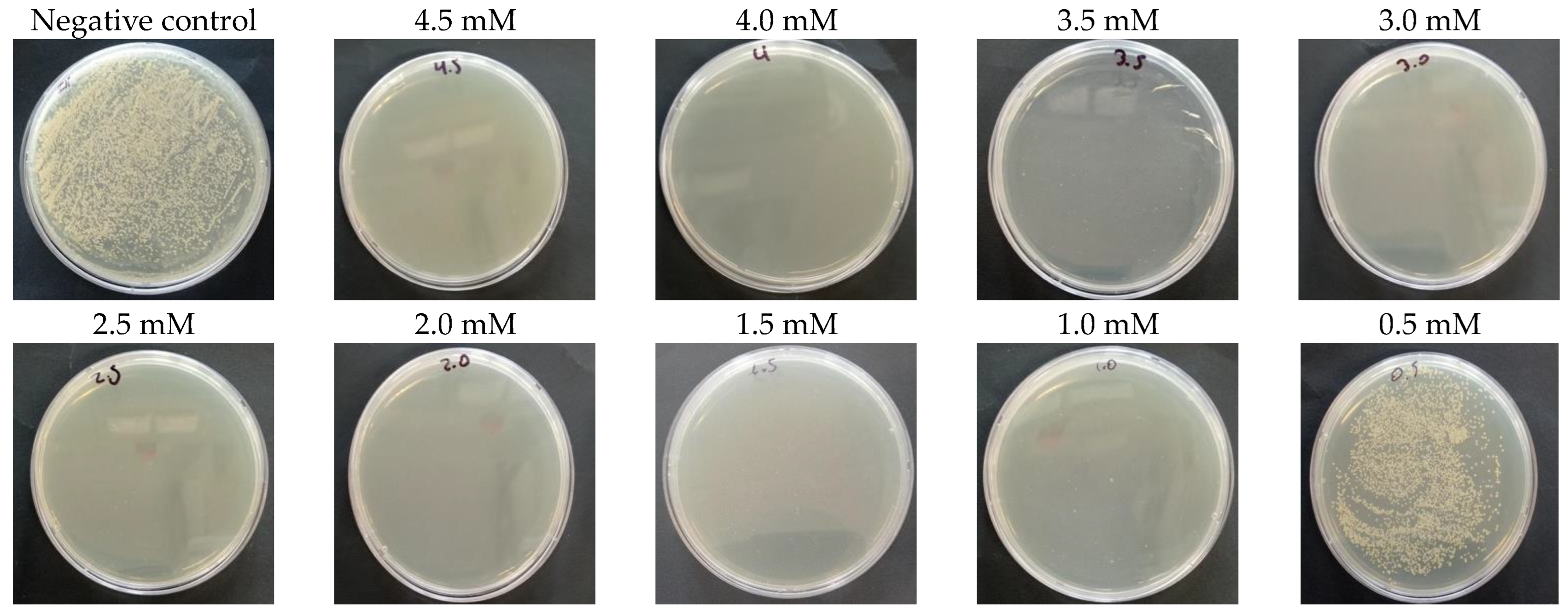 Nanomaterials 14 01147 g010