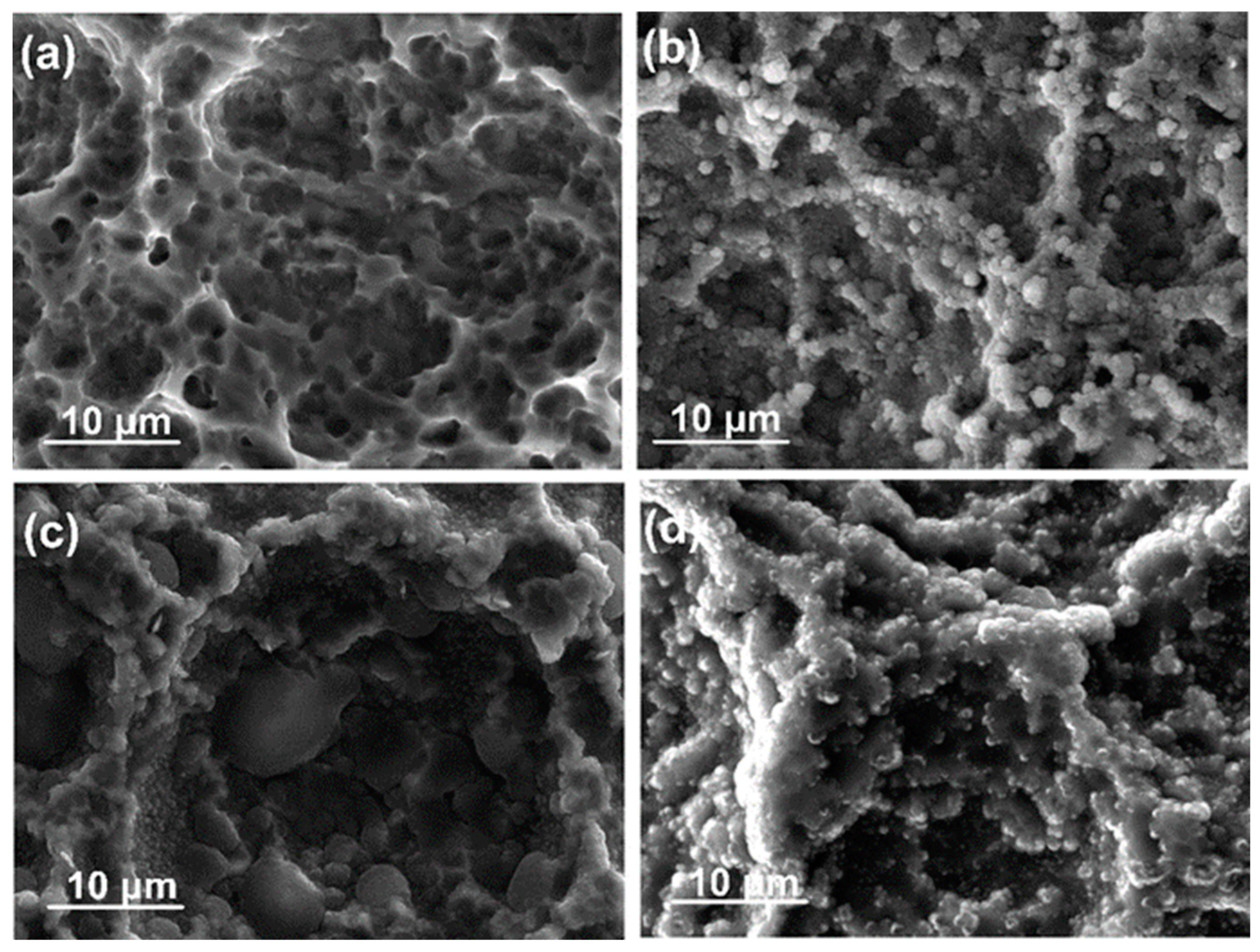 Nanomaterials 14 01148 g001 Nanomaterials 14 01148 g001