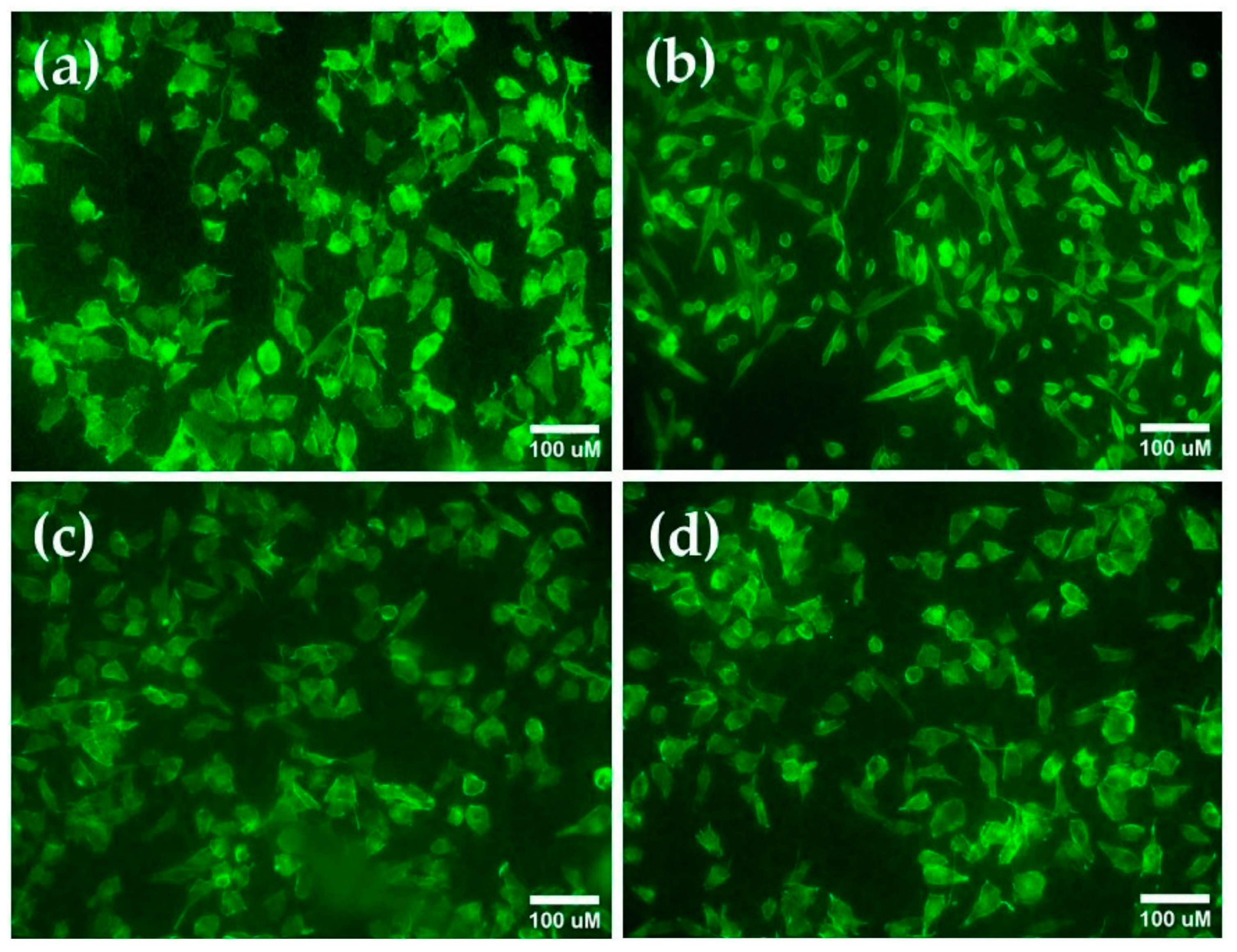 Nanomaterials 14 01148 g011 Nanomaterials 14 01148 g011