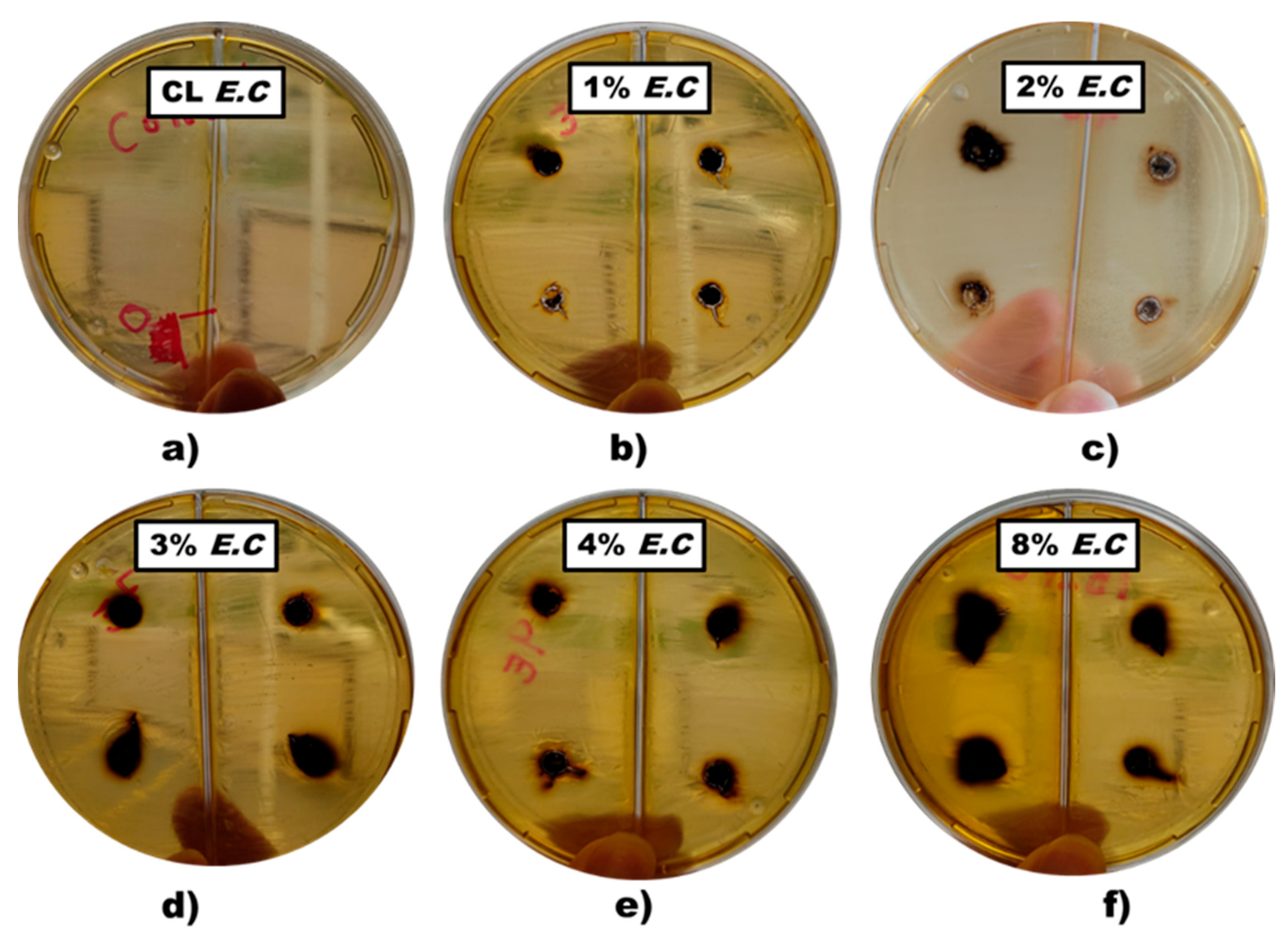 Nanomaterials 14 01151 g009 Nanomaterials 14 01151 g009