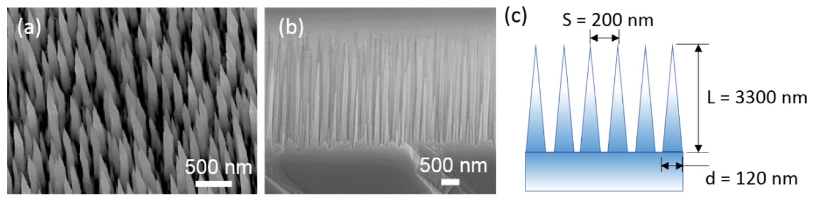 Nanomaterials 14 01154 g002