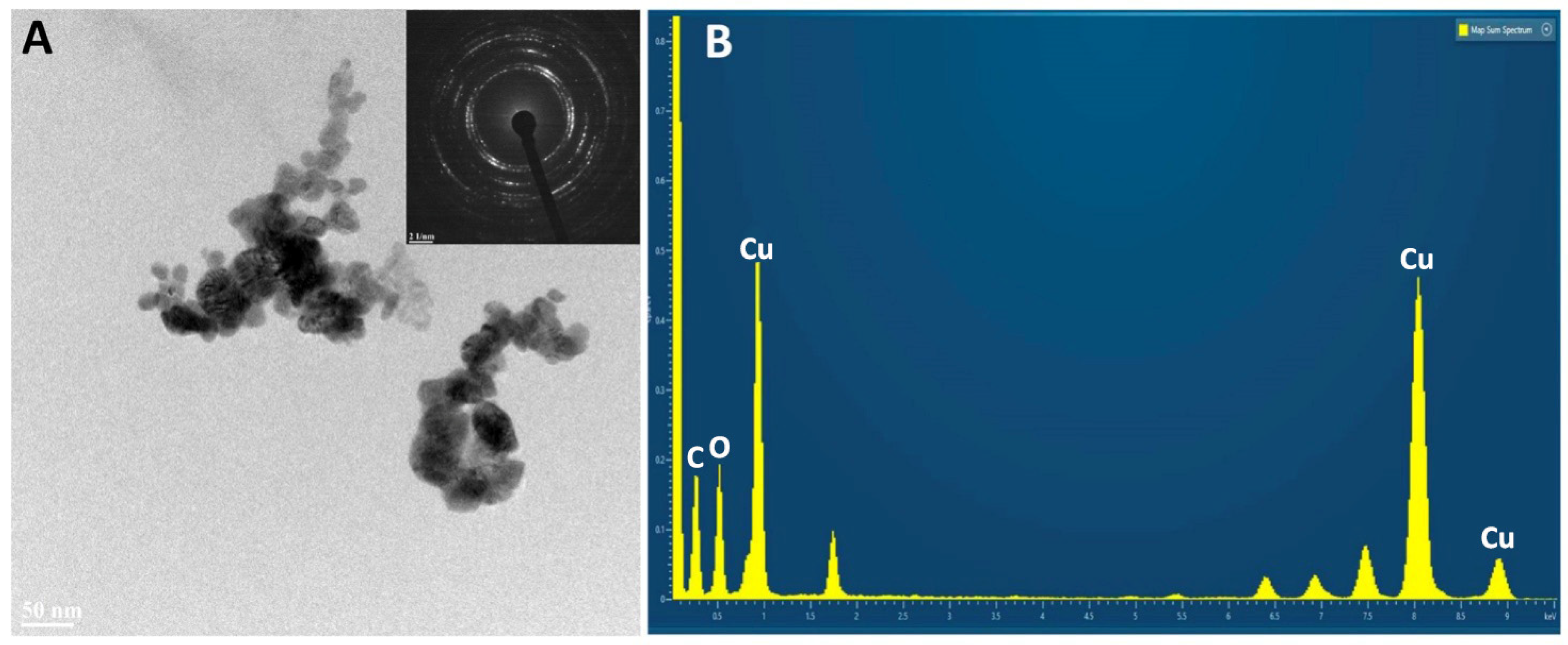 Nanomaterials 14 01157 g004