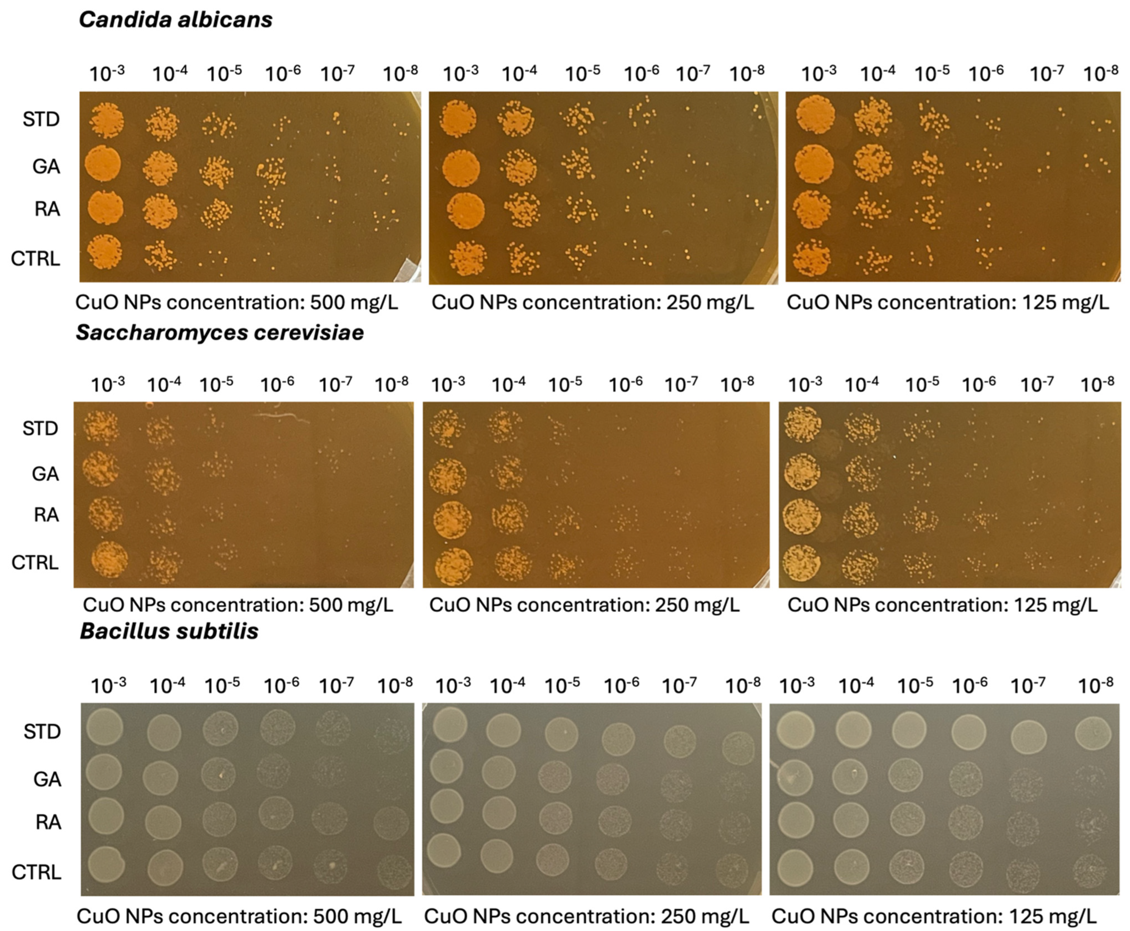Nanomaterials 14 01157 g007a