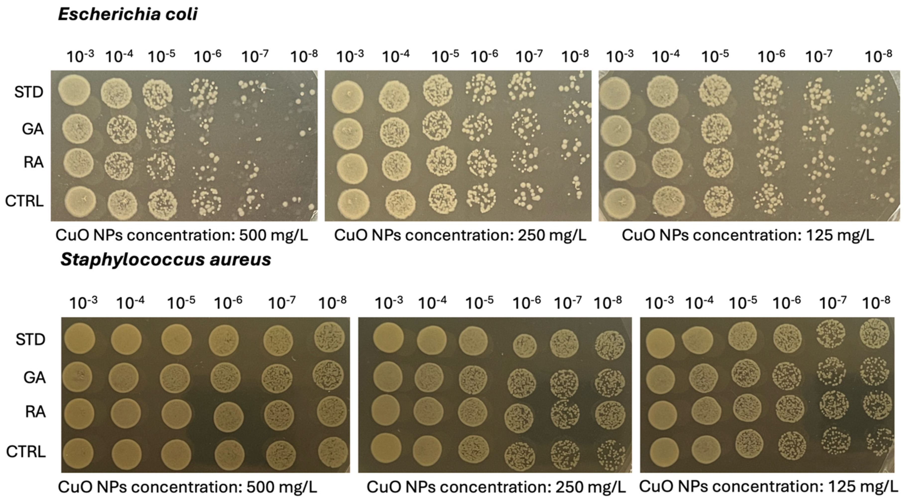 Nanomaterials 14 01157 g007b