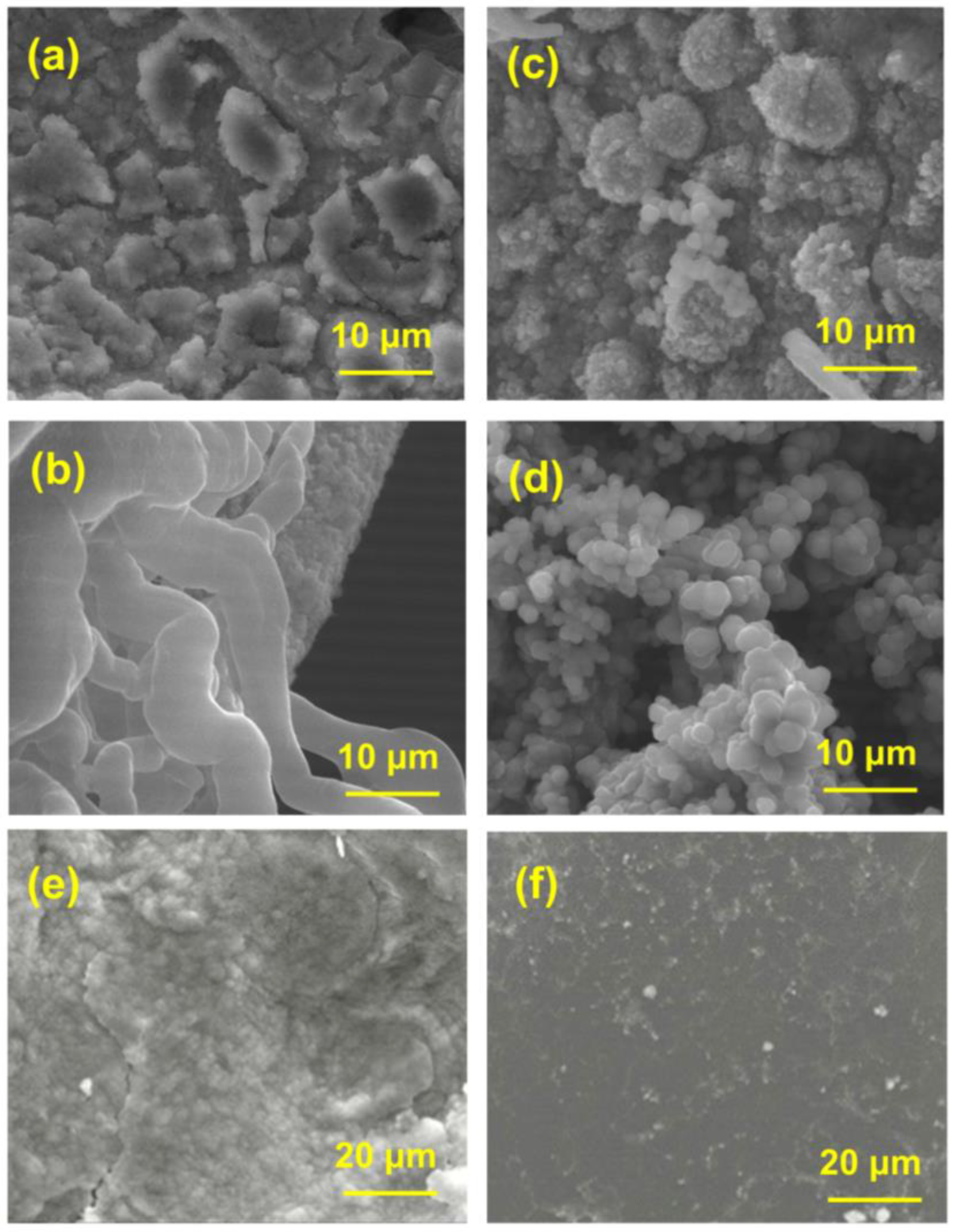 Nanomaterials 14 01158 g004