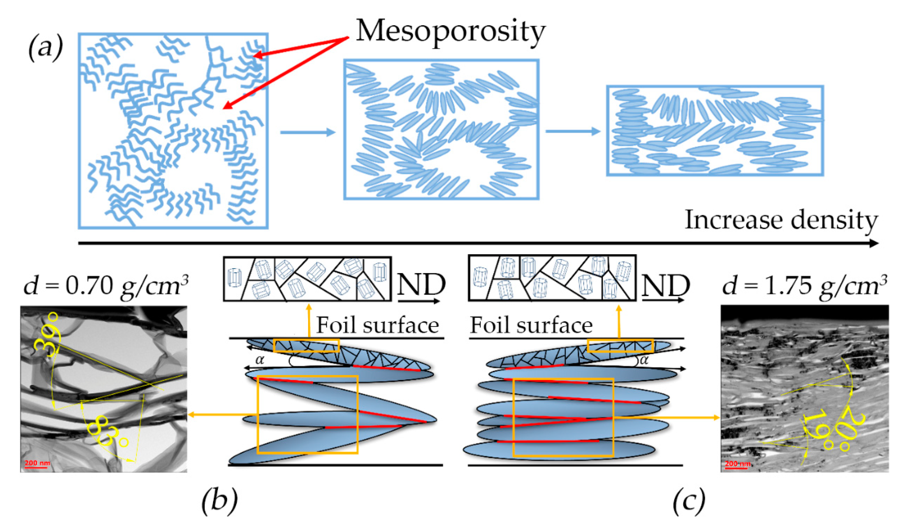 Nanomaterials 14 01162 g008