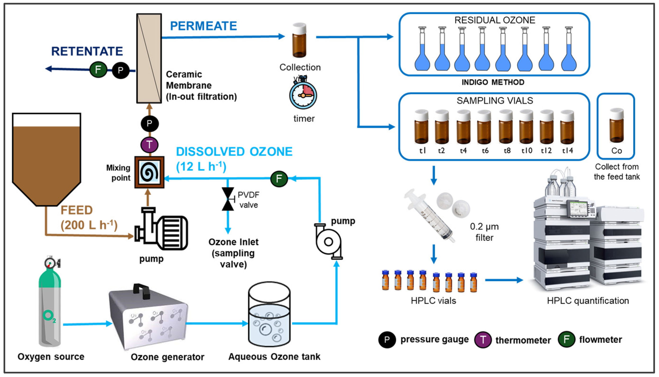 Nanomaterials 14 01163 g001