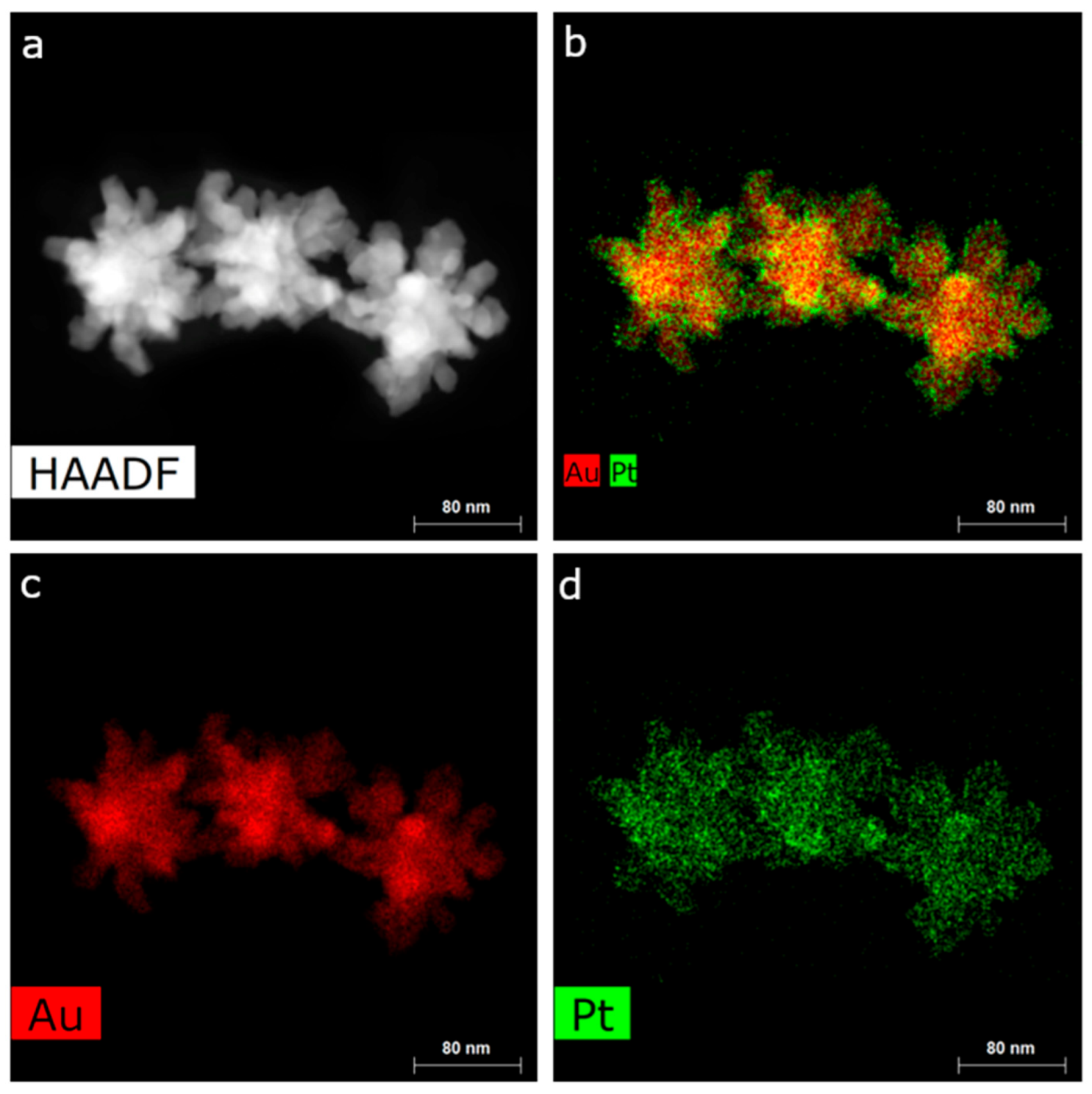 Nanomaterials 14 01166 g004